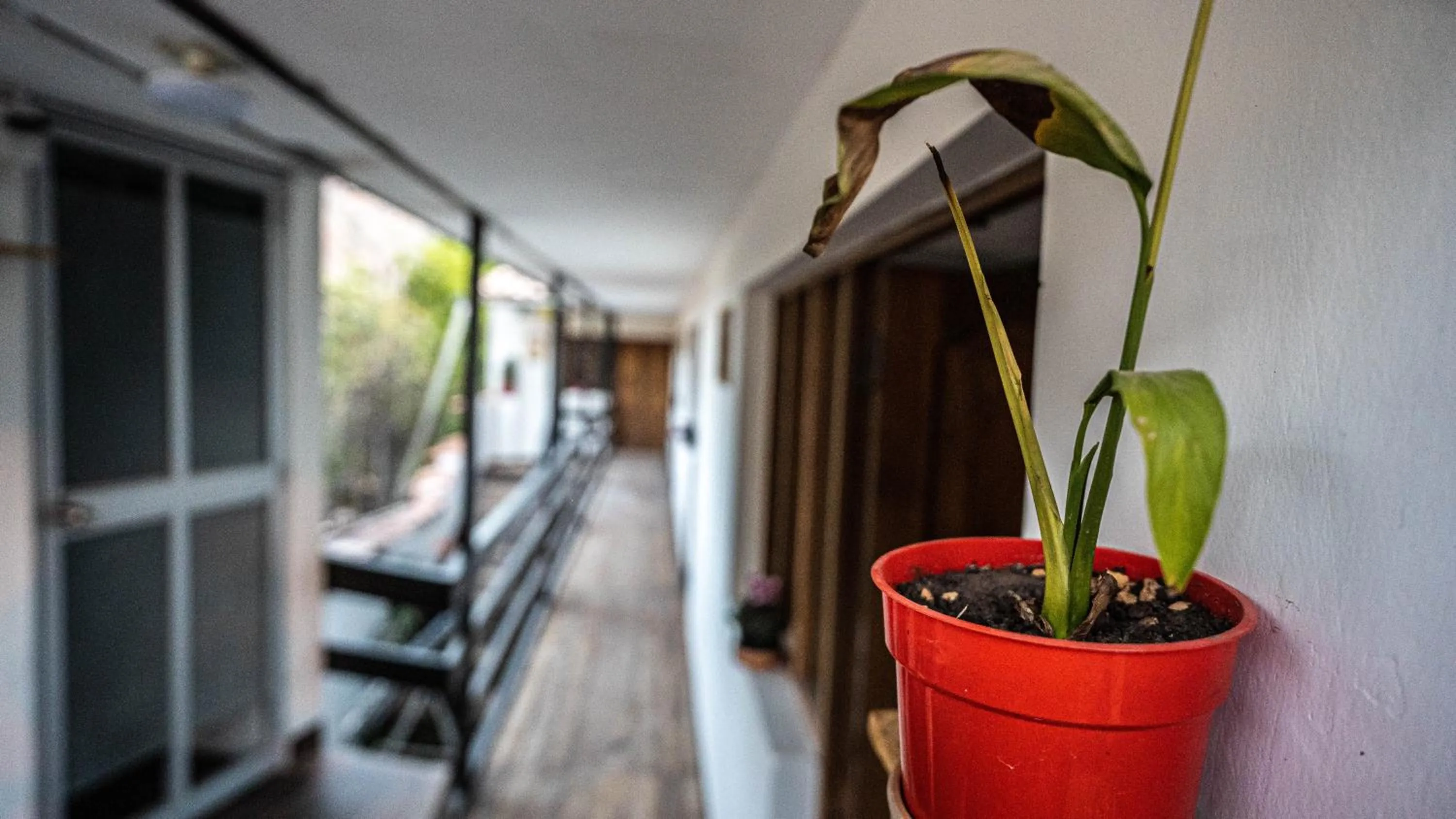 Balcony/Terrace in MAMA GREEN HOSTAL - Eco Andean Experience and Permaculture Farm - Vegetarian Breakfast