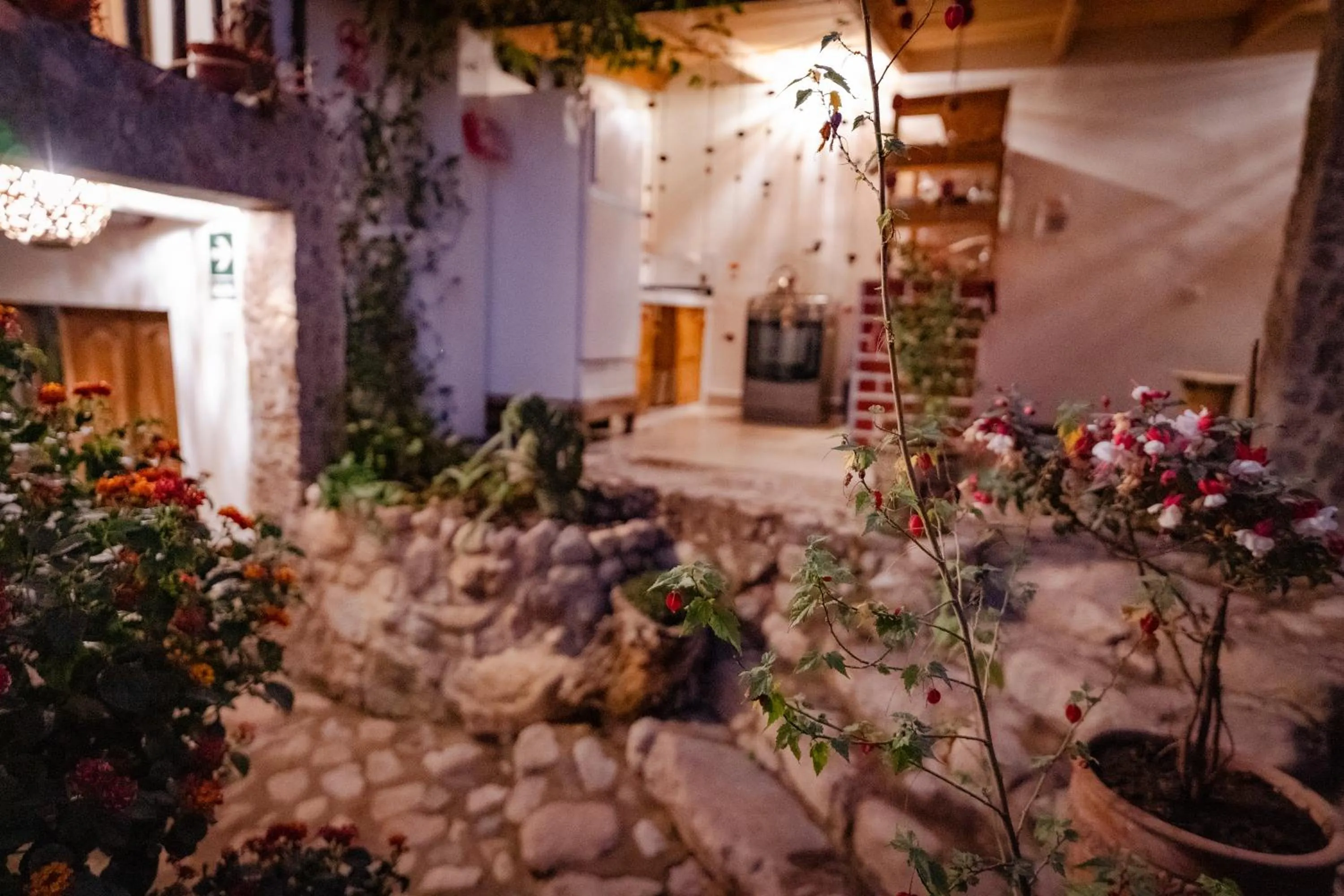 Patio in MAMA GREEN HOSTAL - Eco Andean Experience and Permaculture Farm - Vegetarian Breakfast