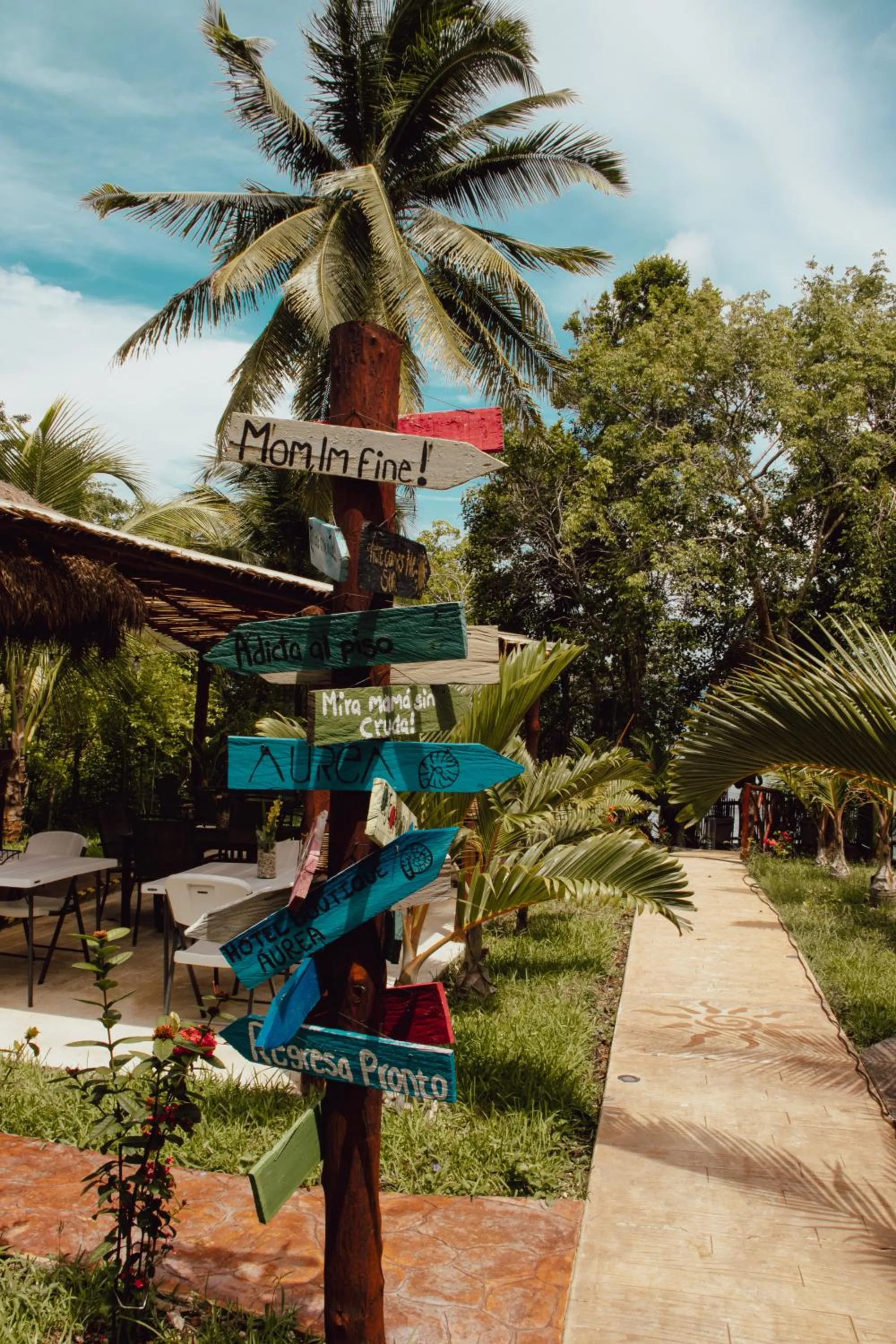 Restaurant/places to eat in Aurea Bacalar