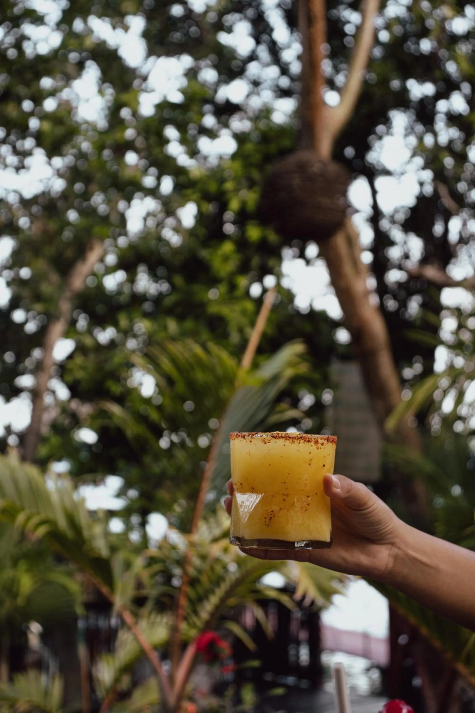 Restaurant/places to eat in Aurea Bacalar