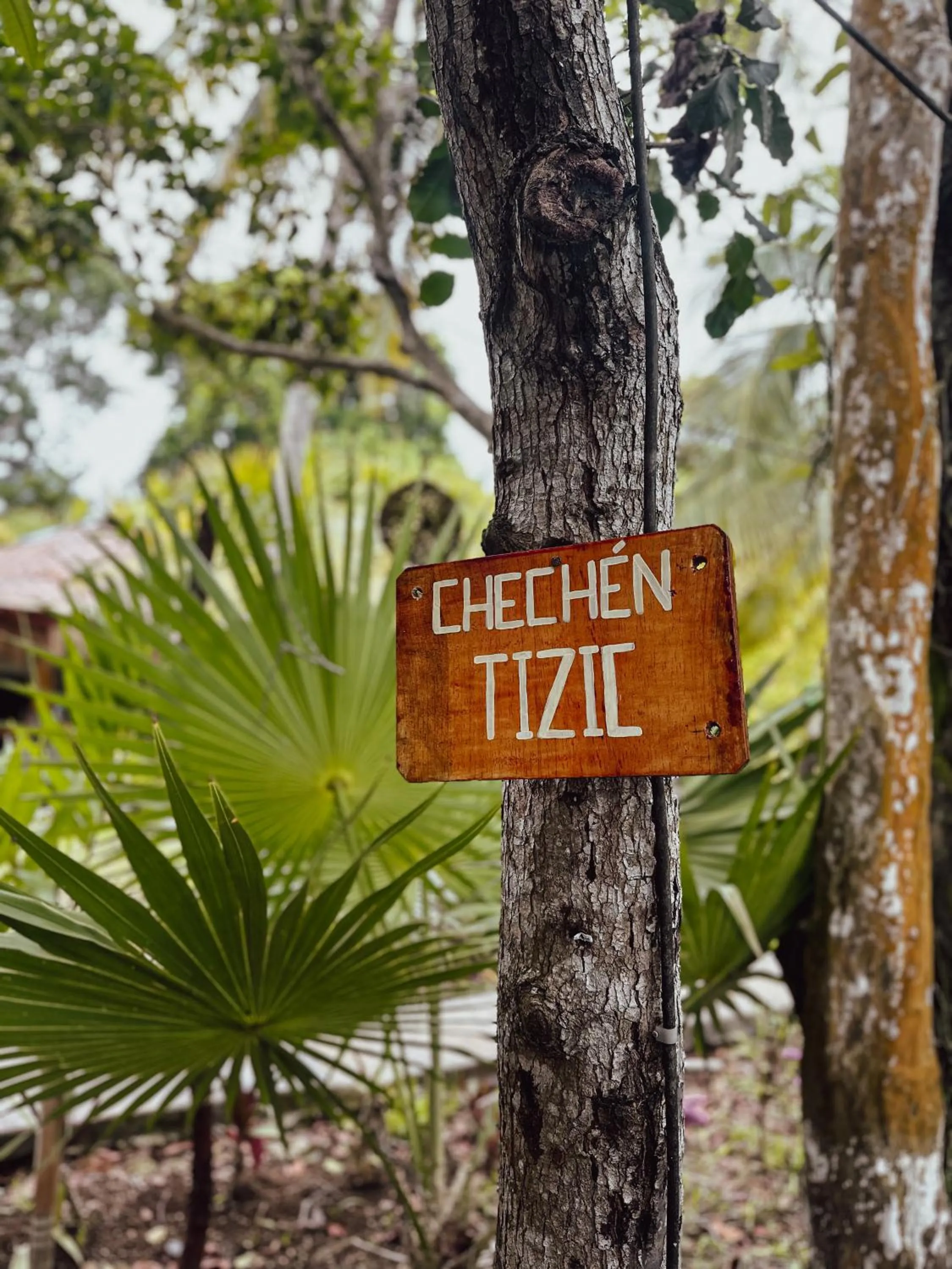 Day in Aurea Bacalar