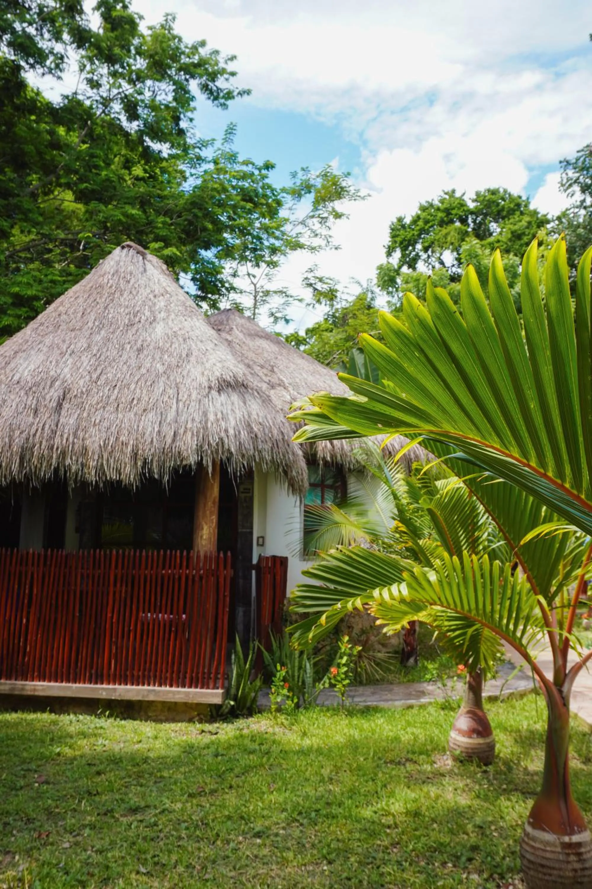 Day in Aurea Bacalar