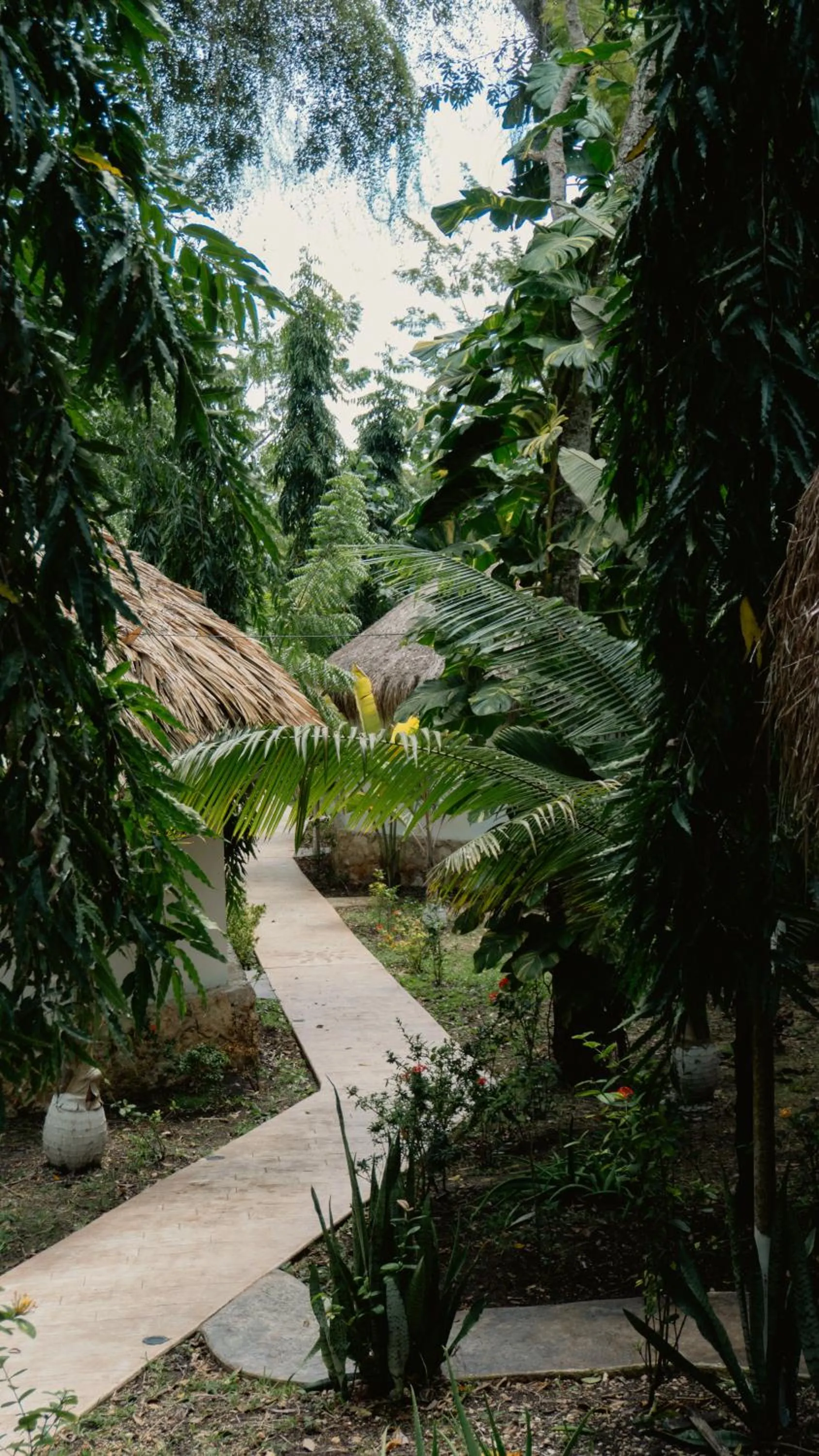 Day in Aurea Bacalar