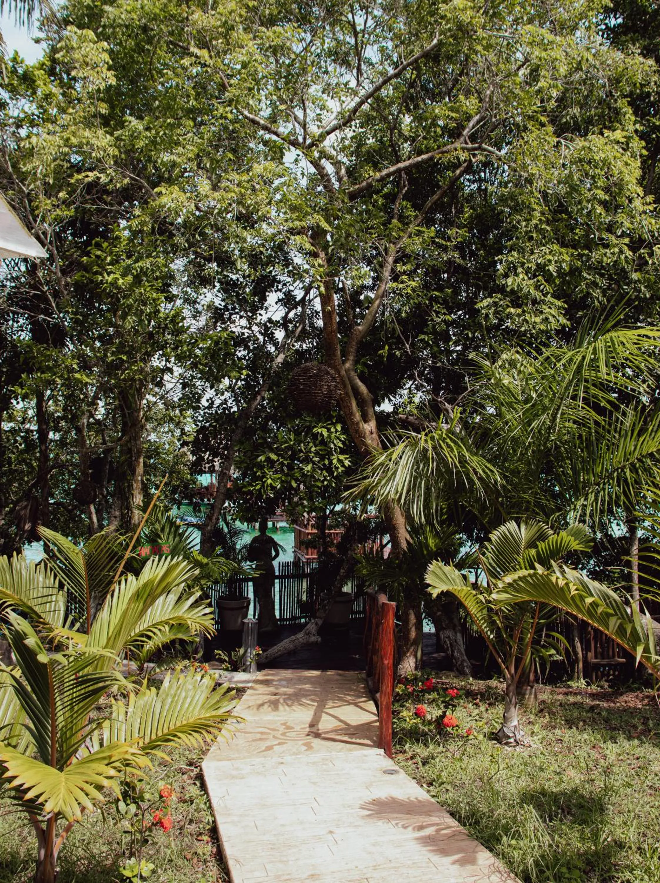 Day in Aurea Bacalar