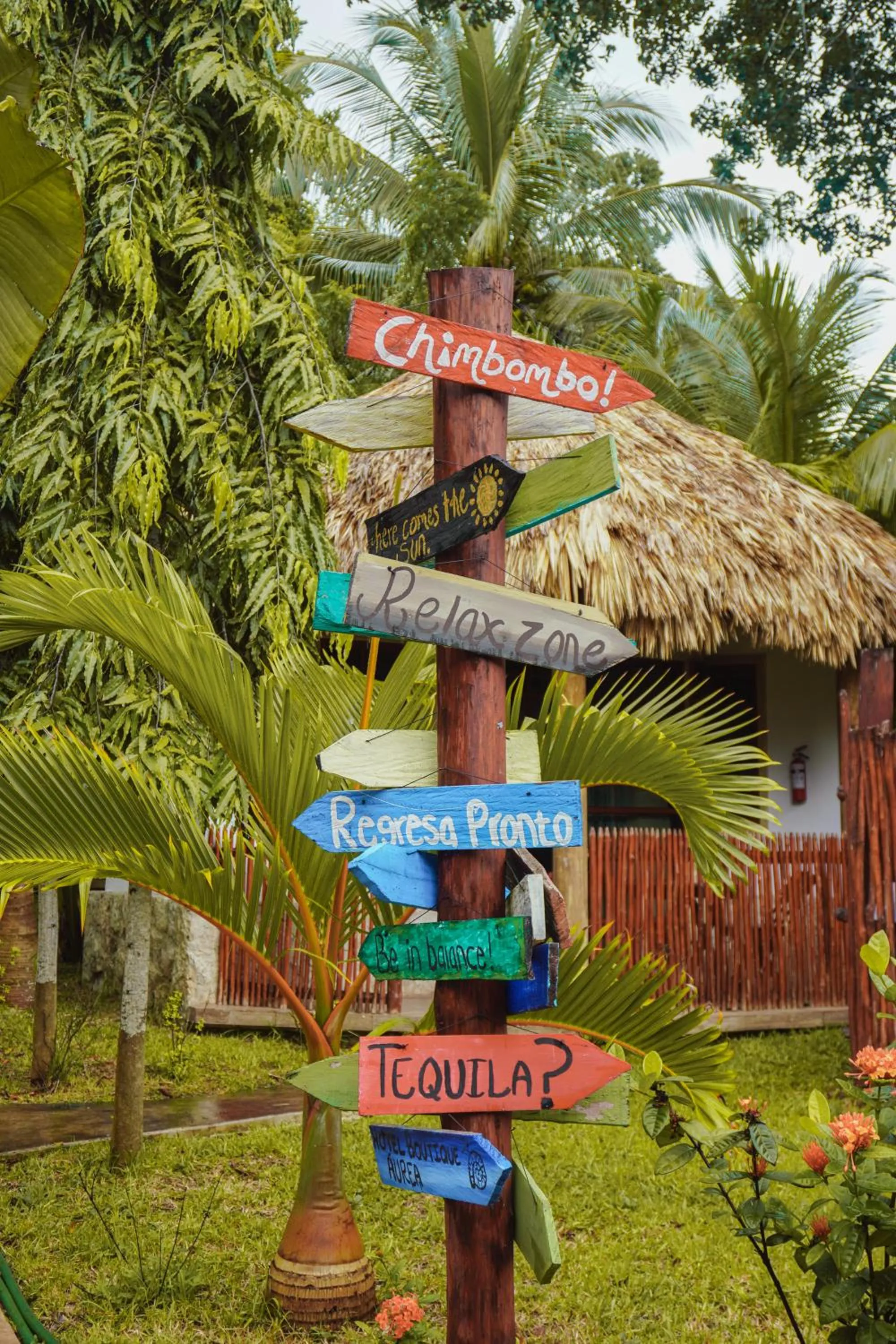 Restaurant/places to eat in Aurea Bacalar