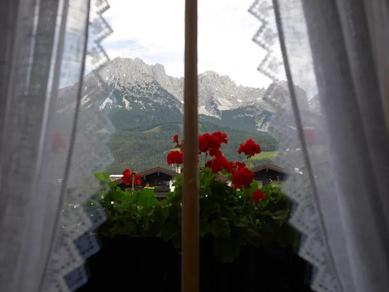 Mountain view in Landhaus Kaiserblick