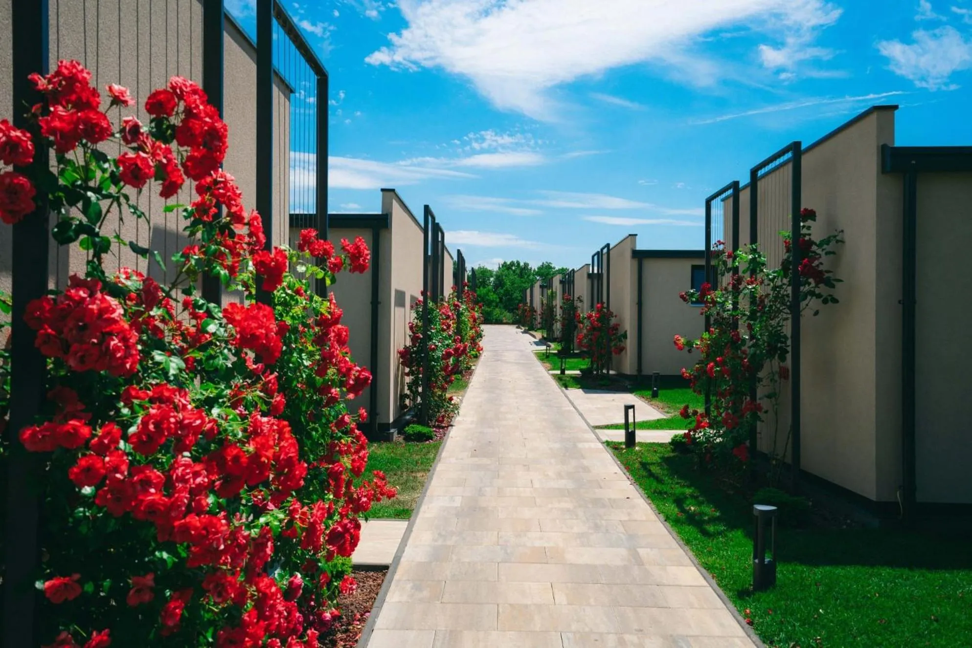 Property building in San Servolo Wellness Homes