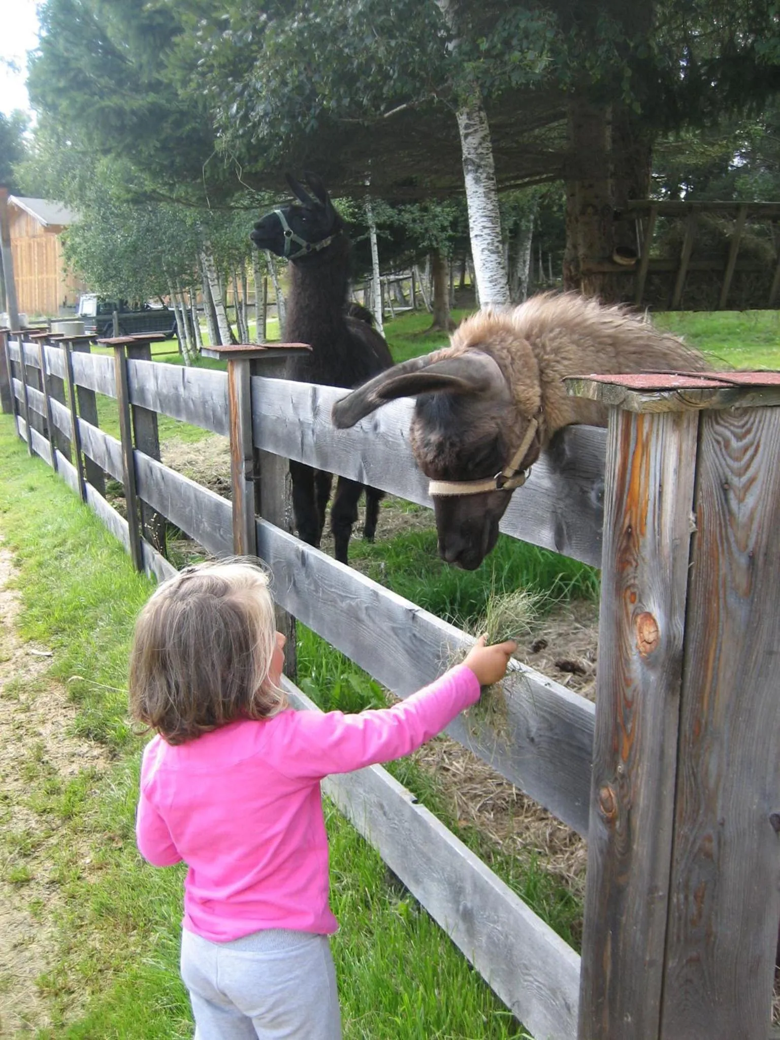 Landhaus Charlotte Apartments Tirol