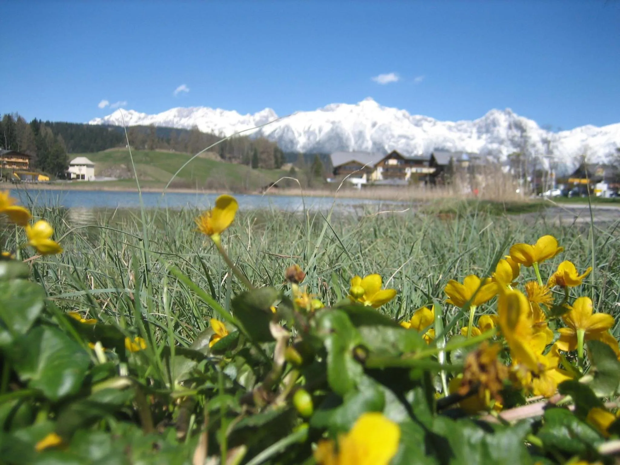 Landhaus Charlotte Apartments Tirol