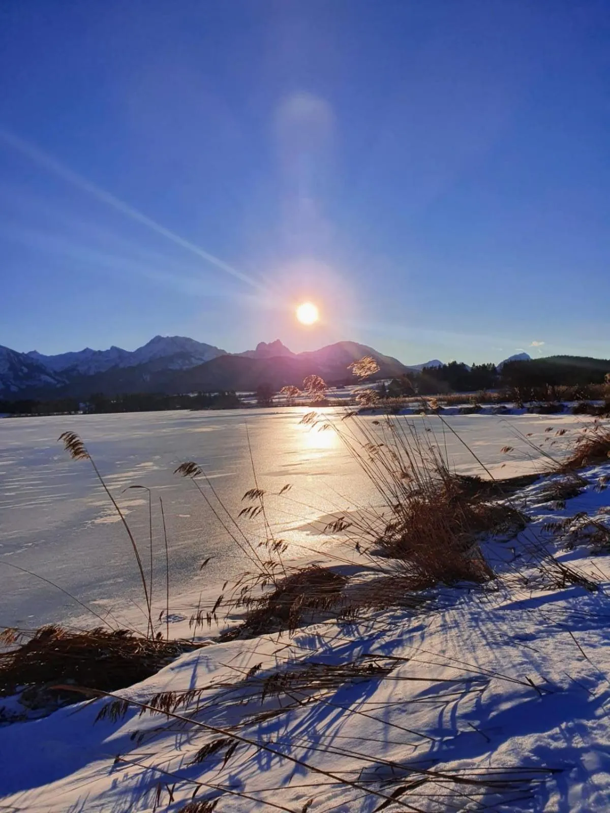 Natural landscape in Hotel Geiger