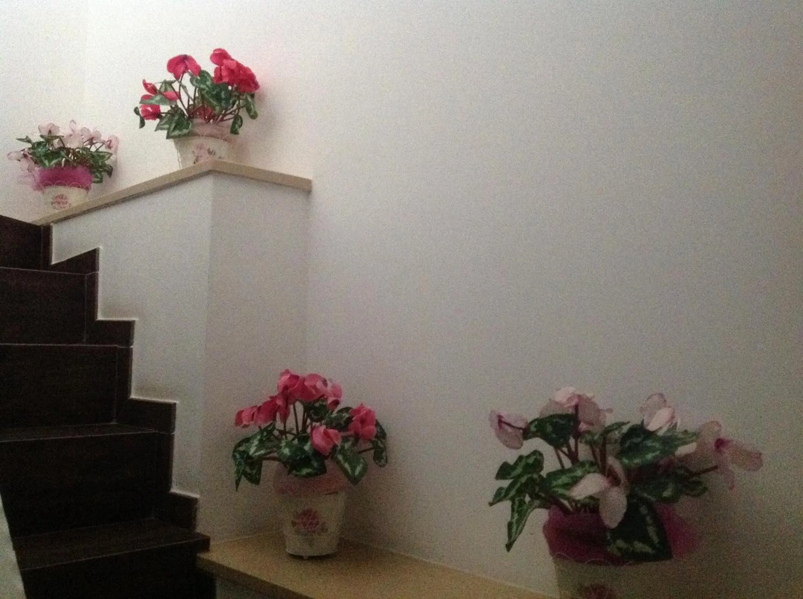 Decorative detail in B&B La Maison Del Borgo Antico