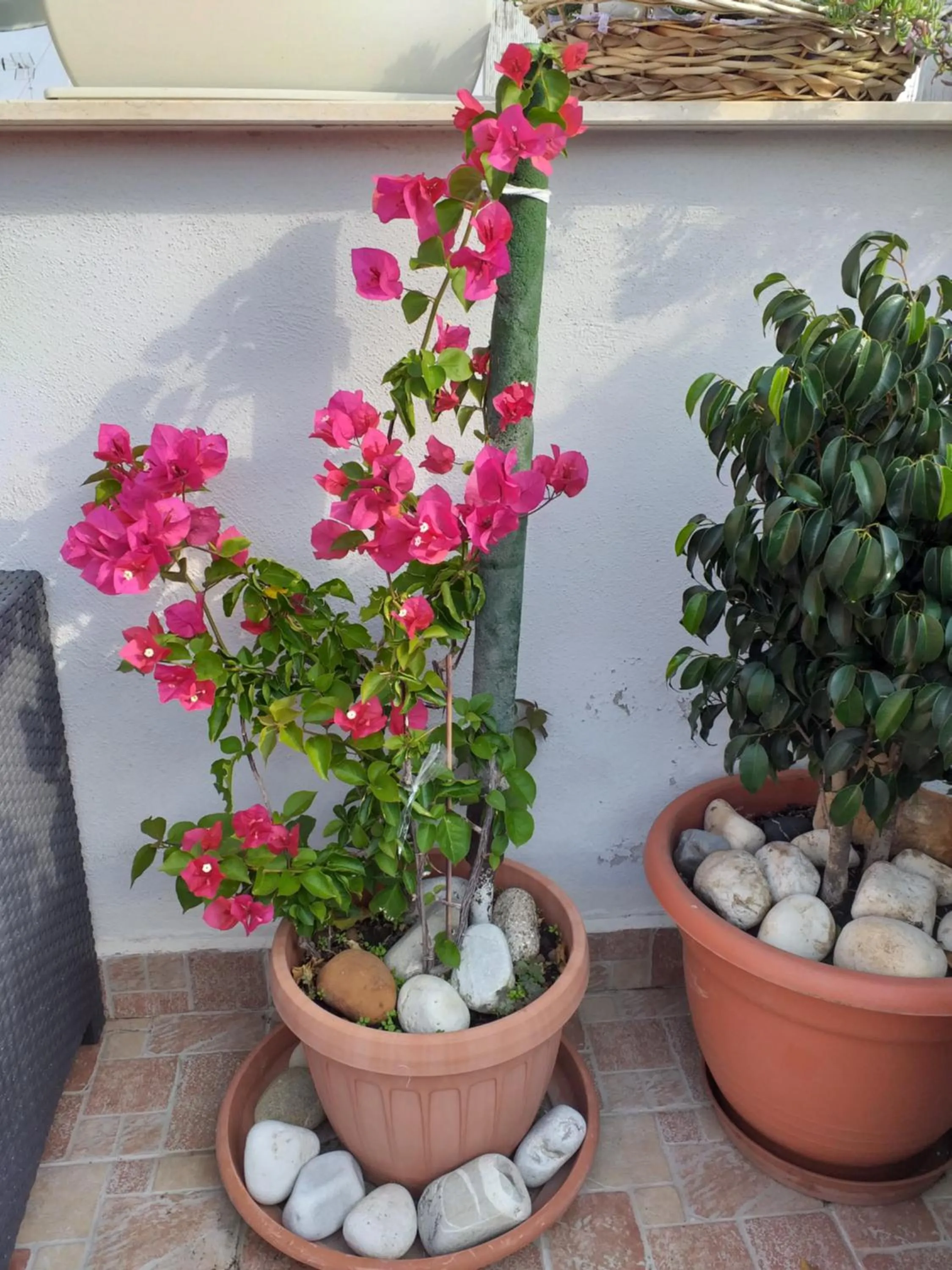 B&B La Maison Del Borgo Antico