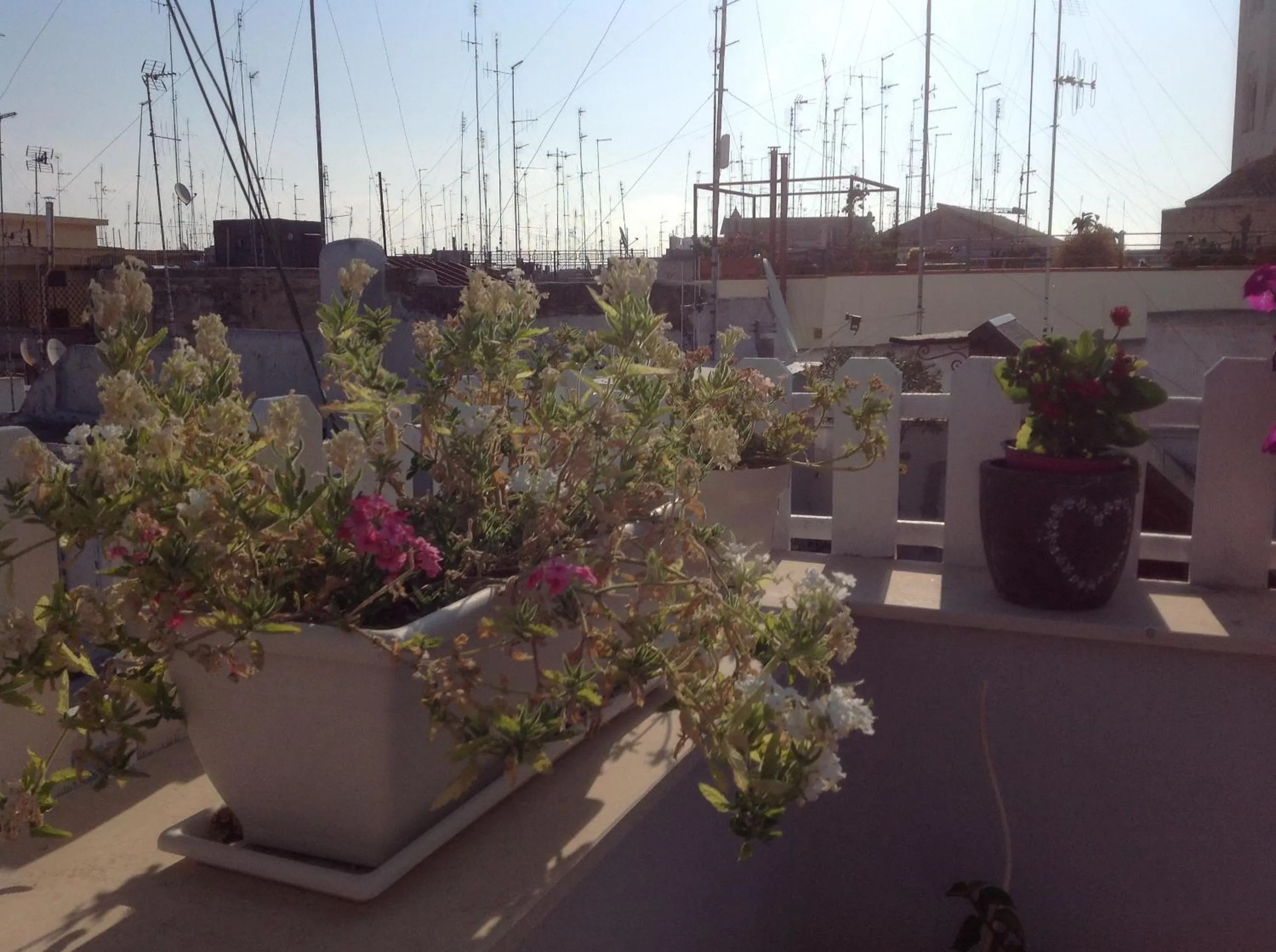 Day in B&B La Maison Del Borgo Antico