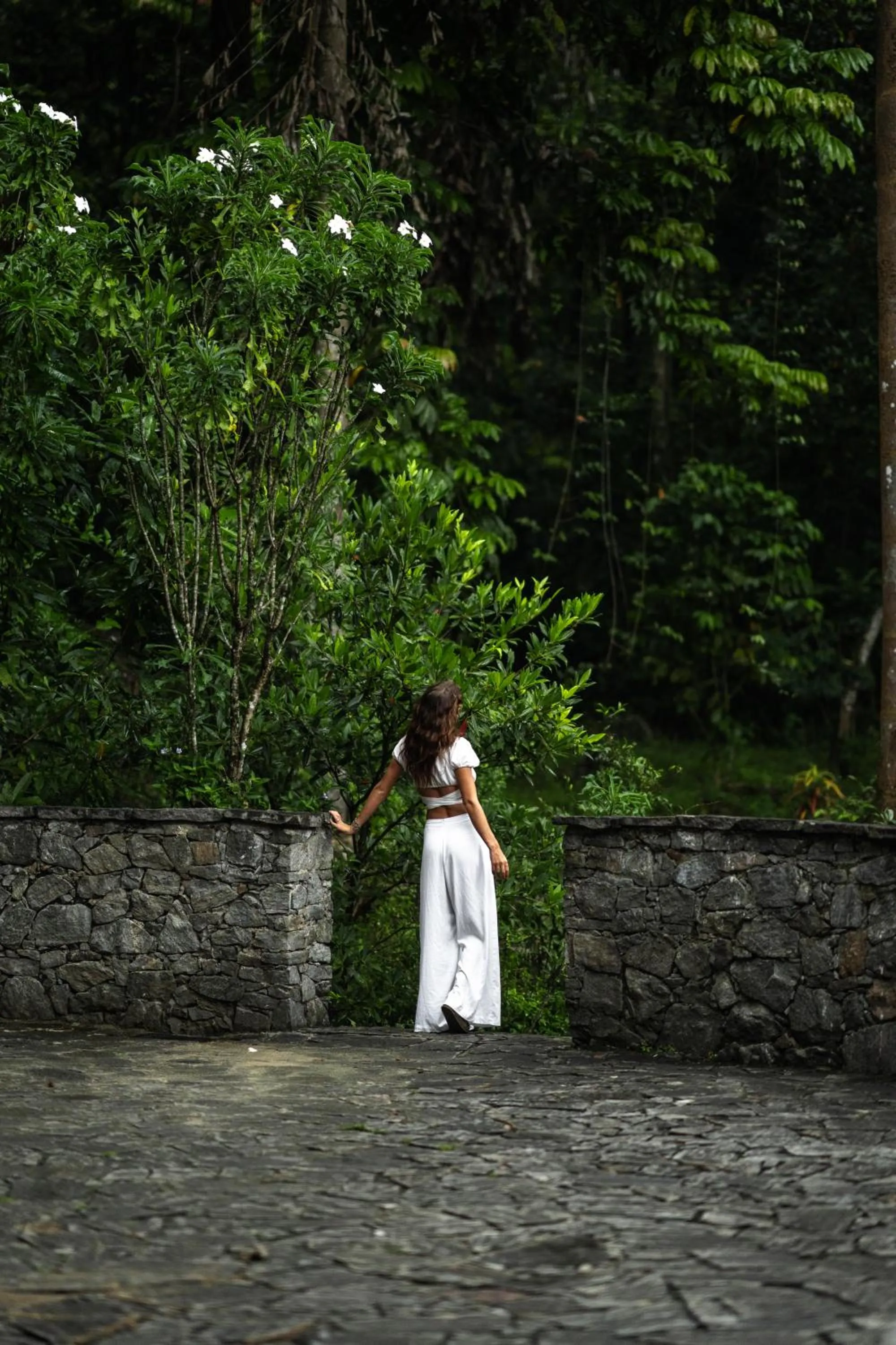 Natural landscape in Moksha at Kitulgala - Rainforest Boutique Hotel