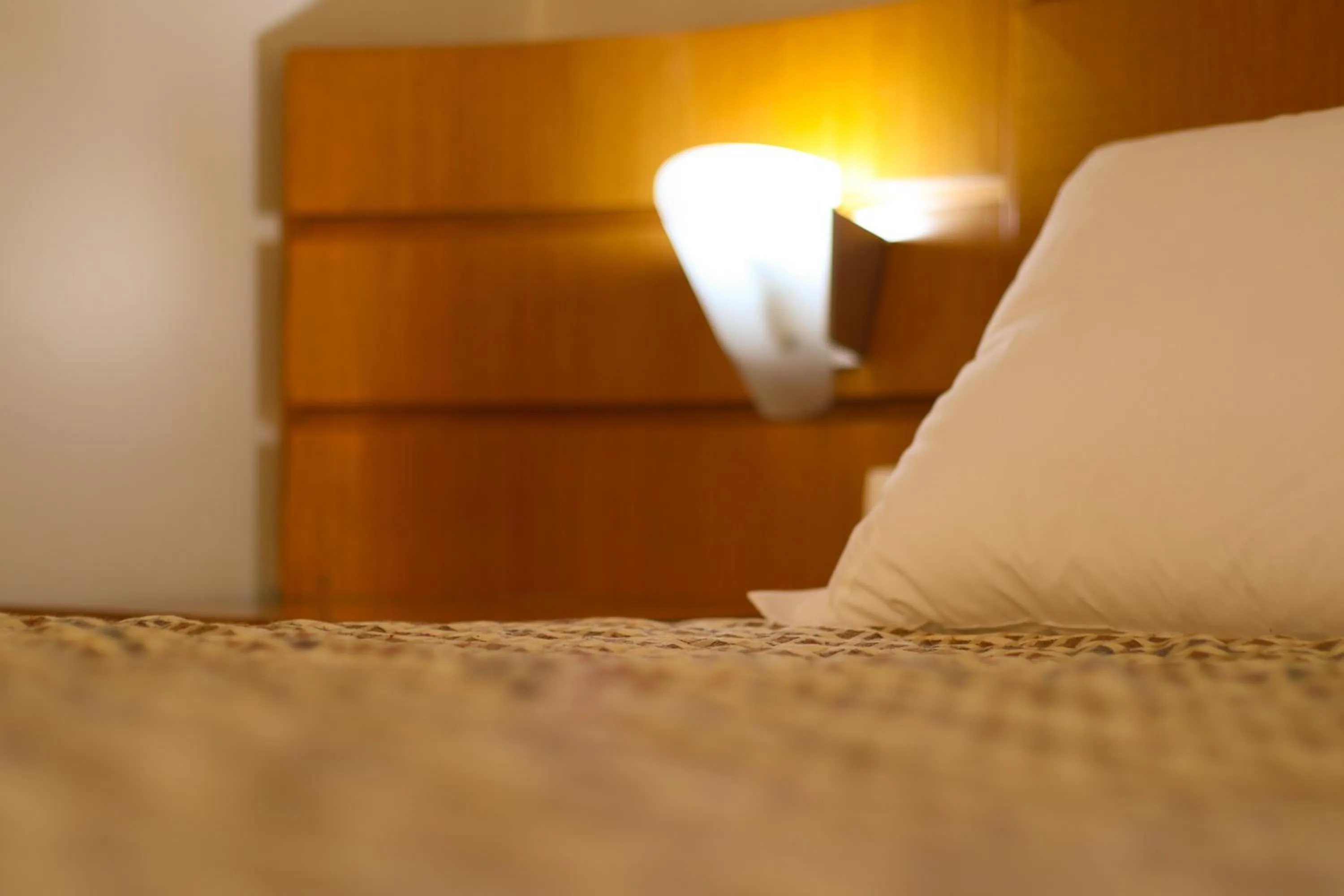 Bedroom, Bed in Copas Executive Hotel