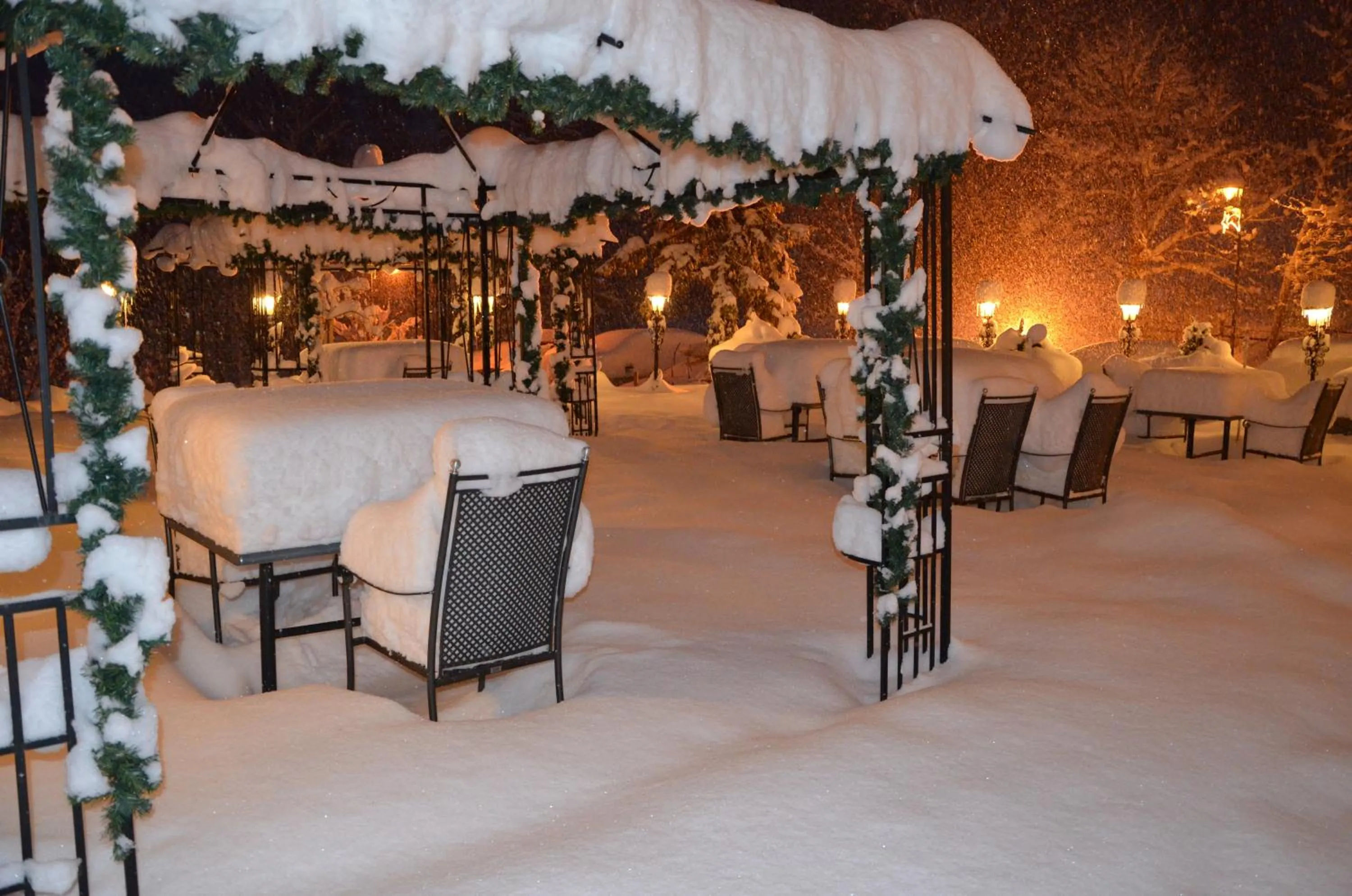 Area and facilities in Sporthotel Zugspitze