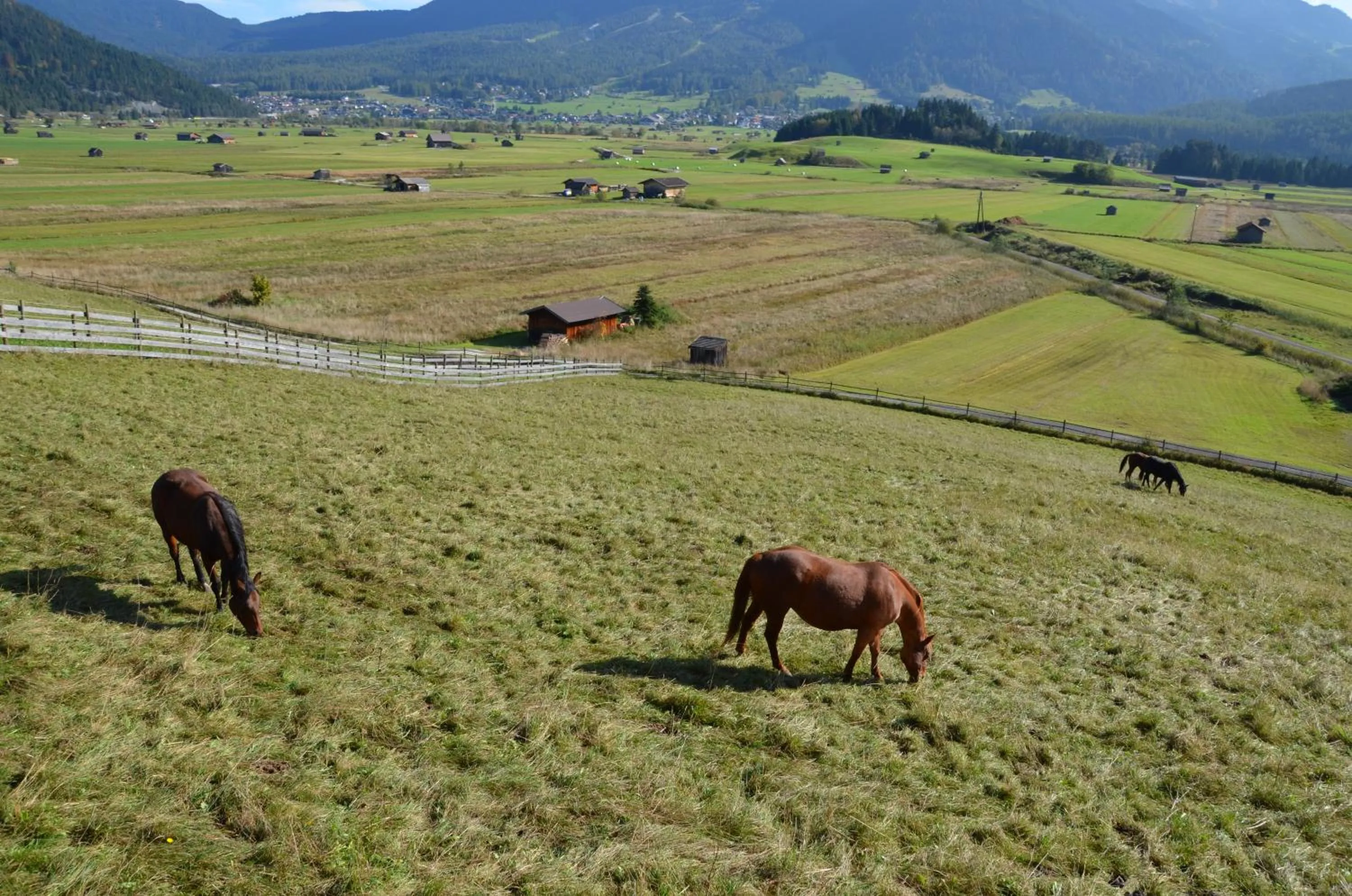 Area and facilities in Sporthotel Zugspitze