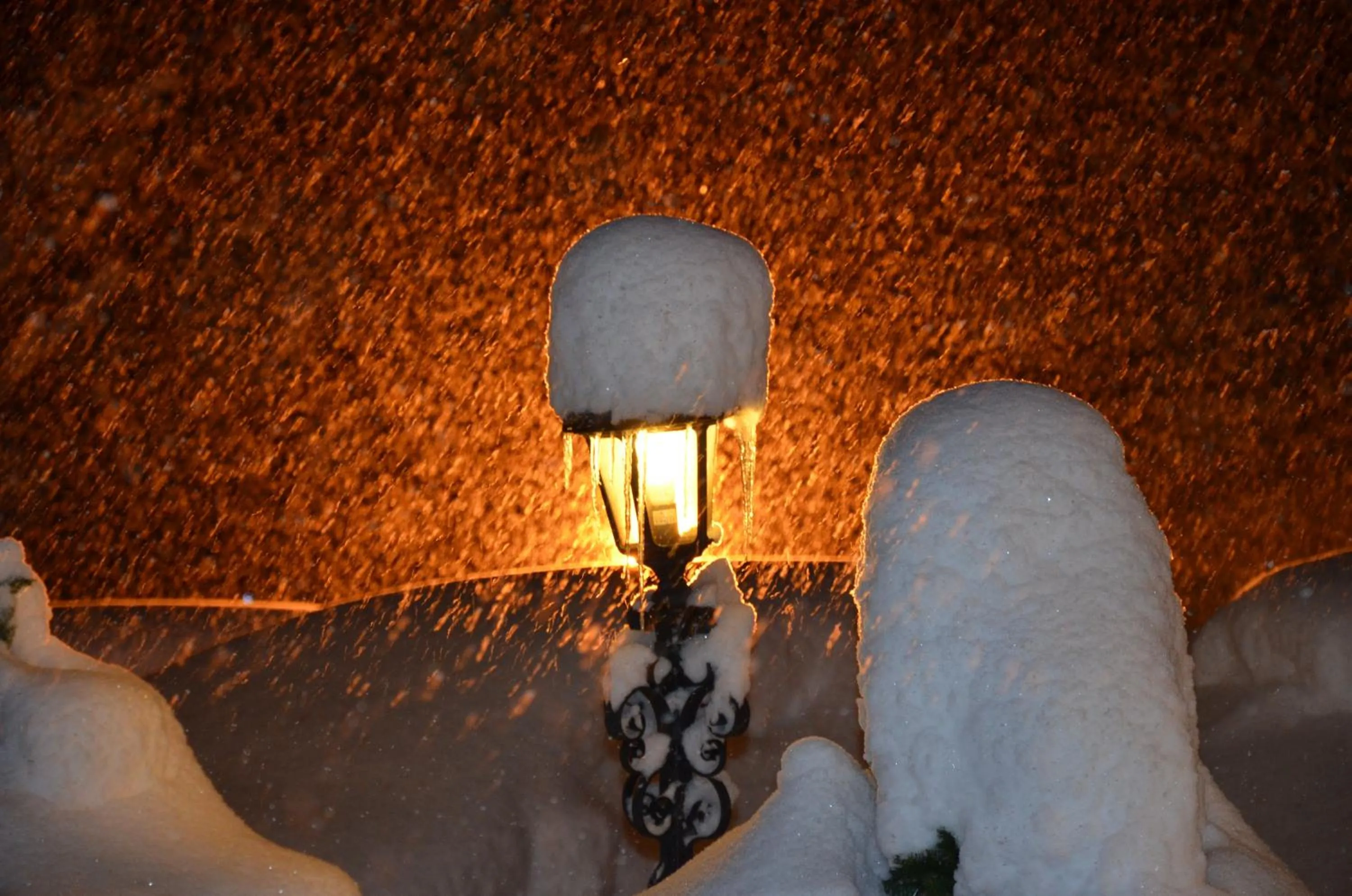 Area and facilities in Sporthotel Zugspitze