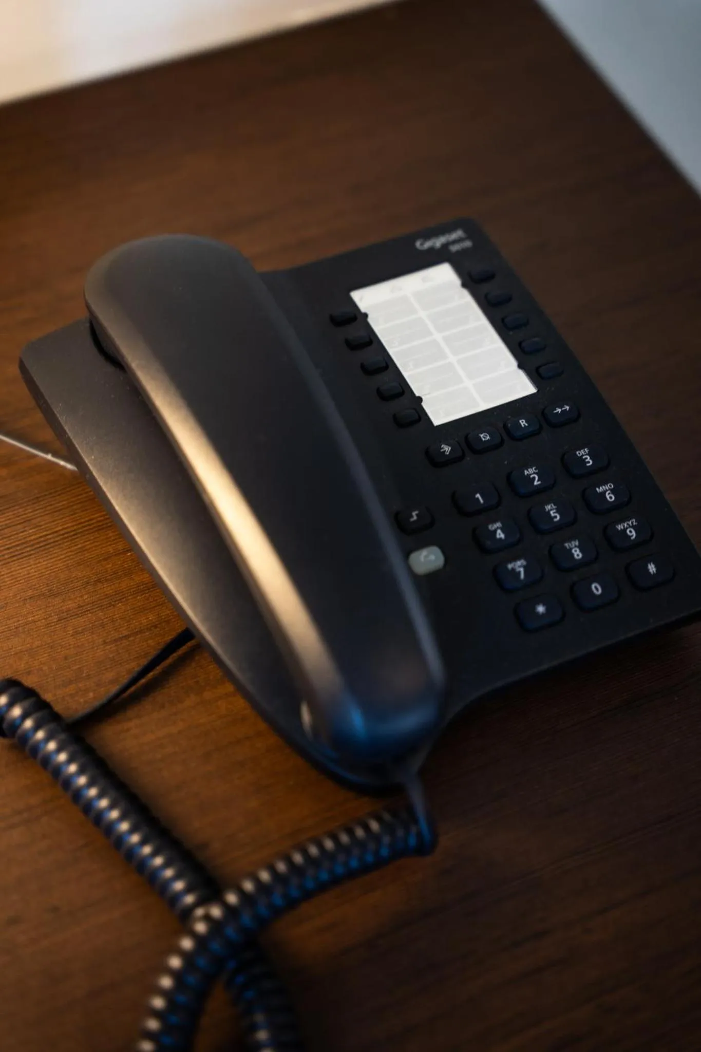 Area and facilities in Hotel Falko