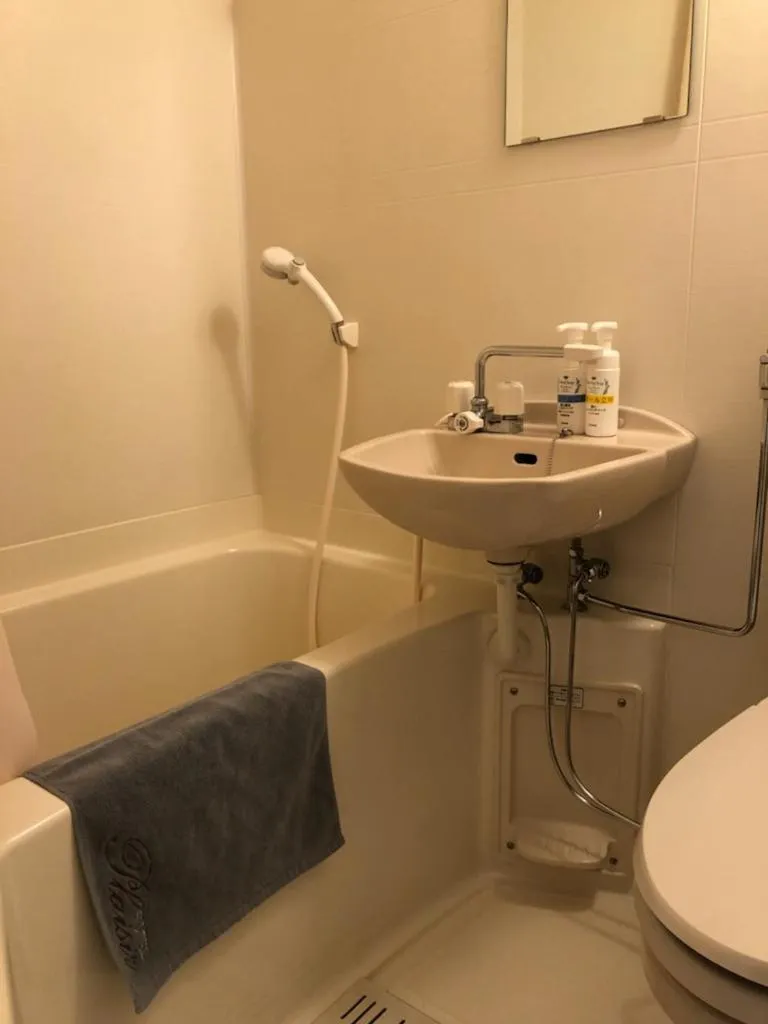 Hotel Plaisir Tachikawa