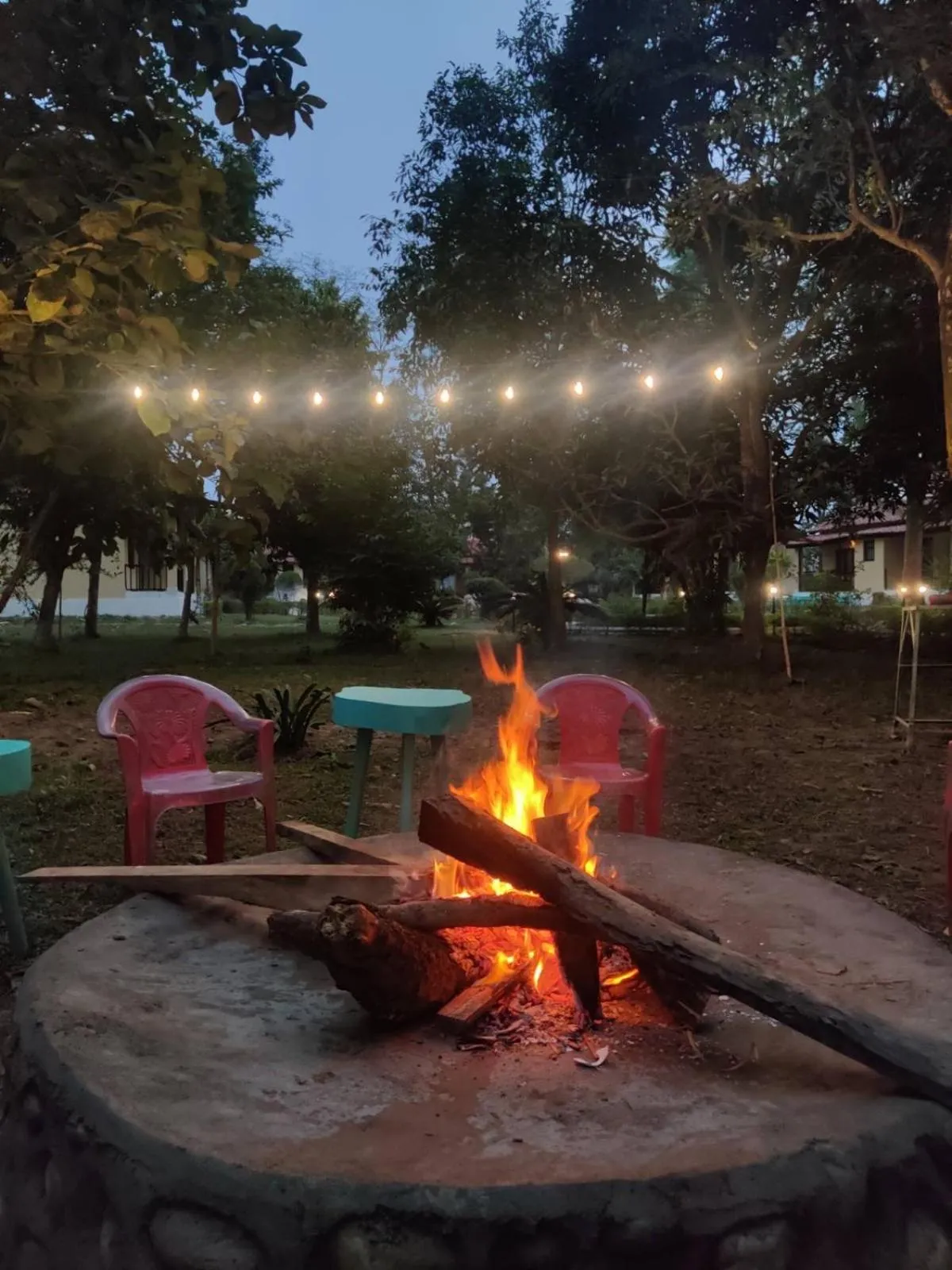 Garden in Bardia Forest Resort