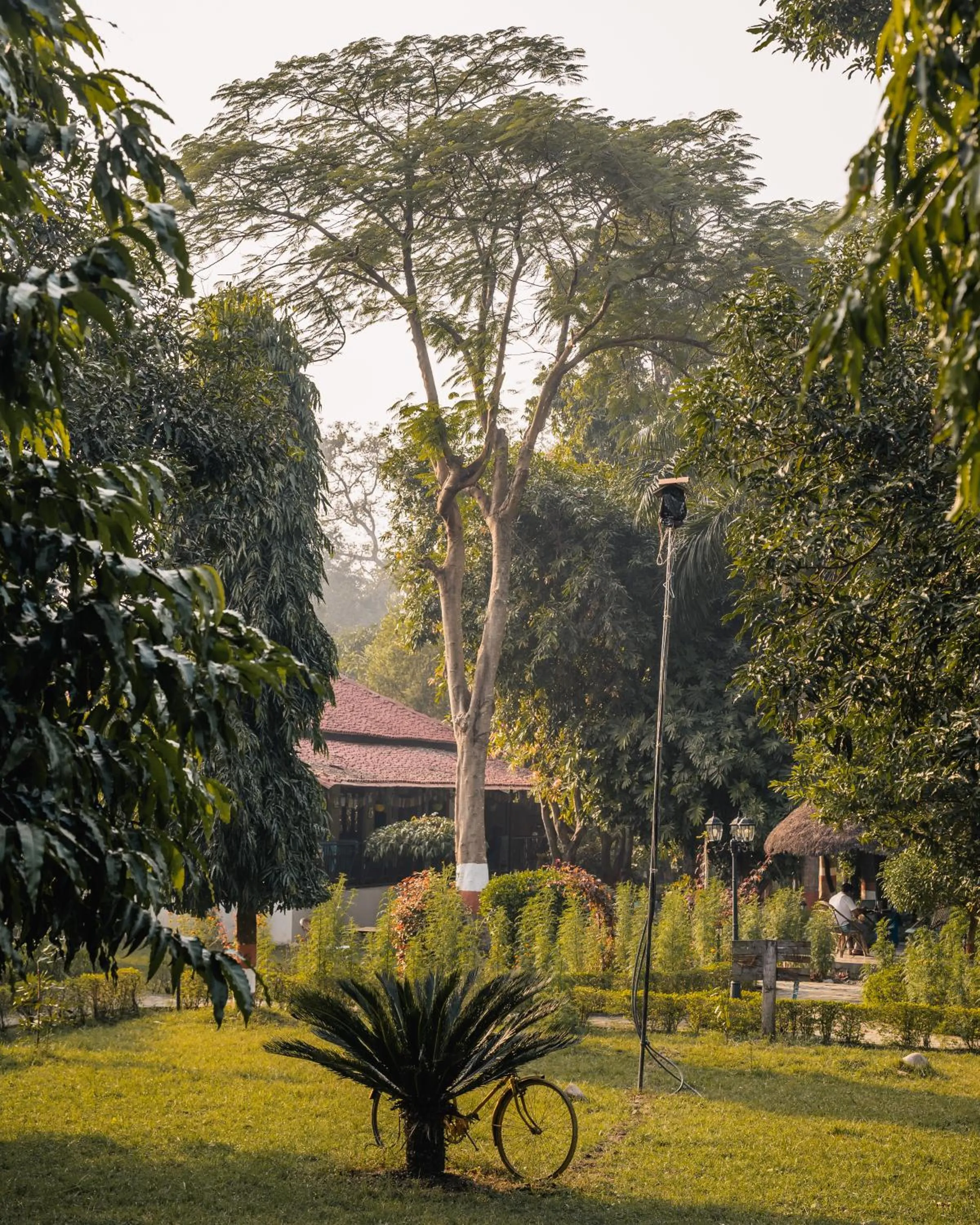Area and facilities in Bardia Forest Resort