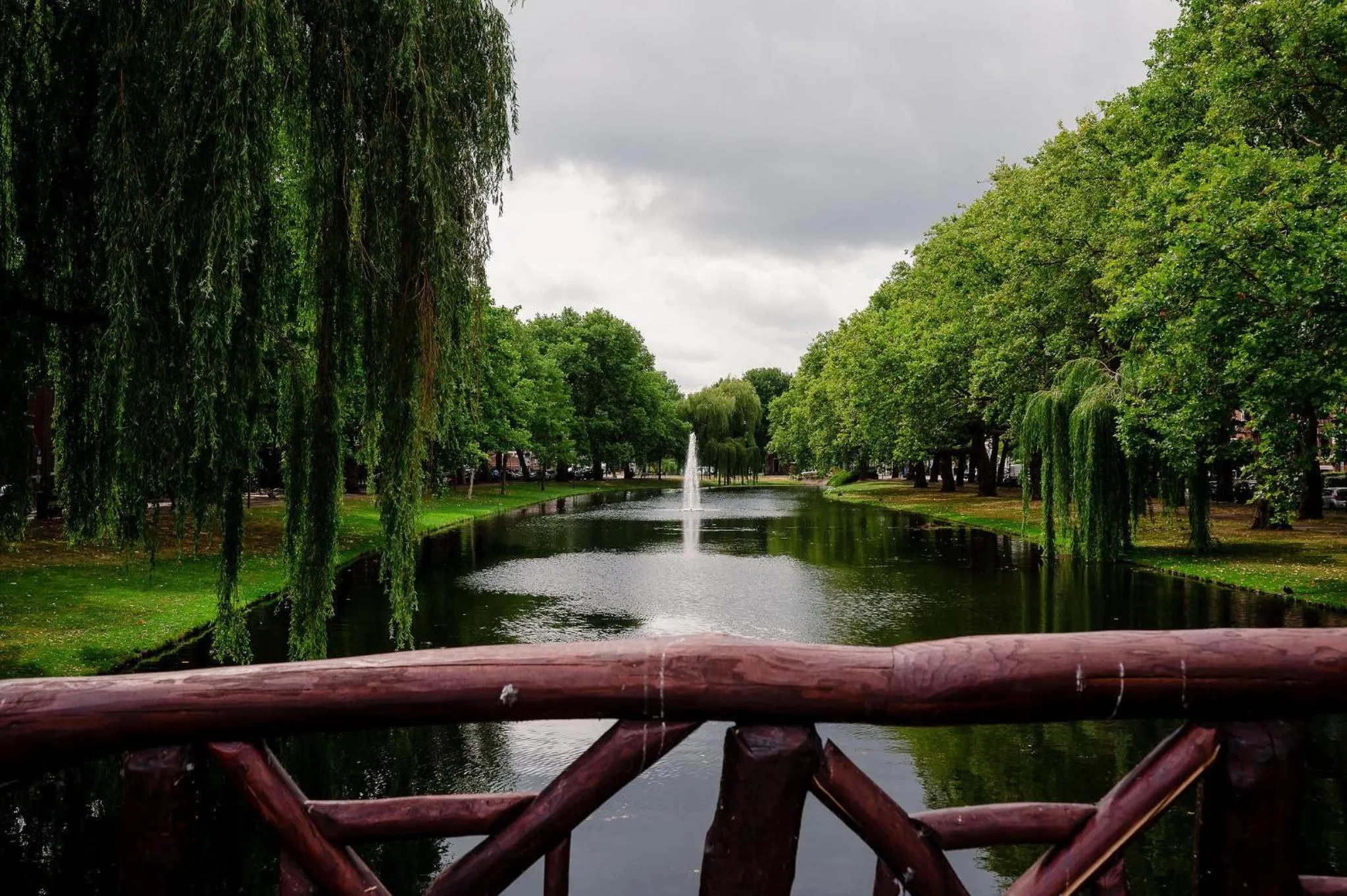 Natural landscape in Mr.Lewis Rotterdam