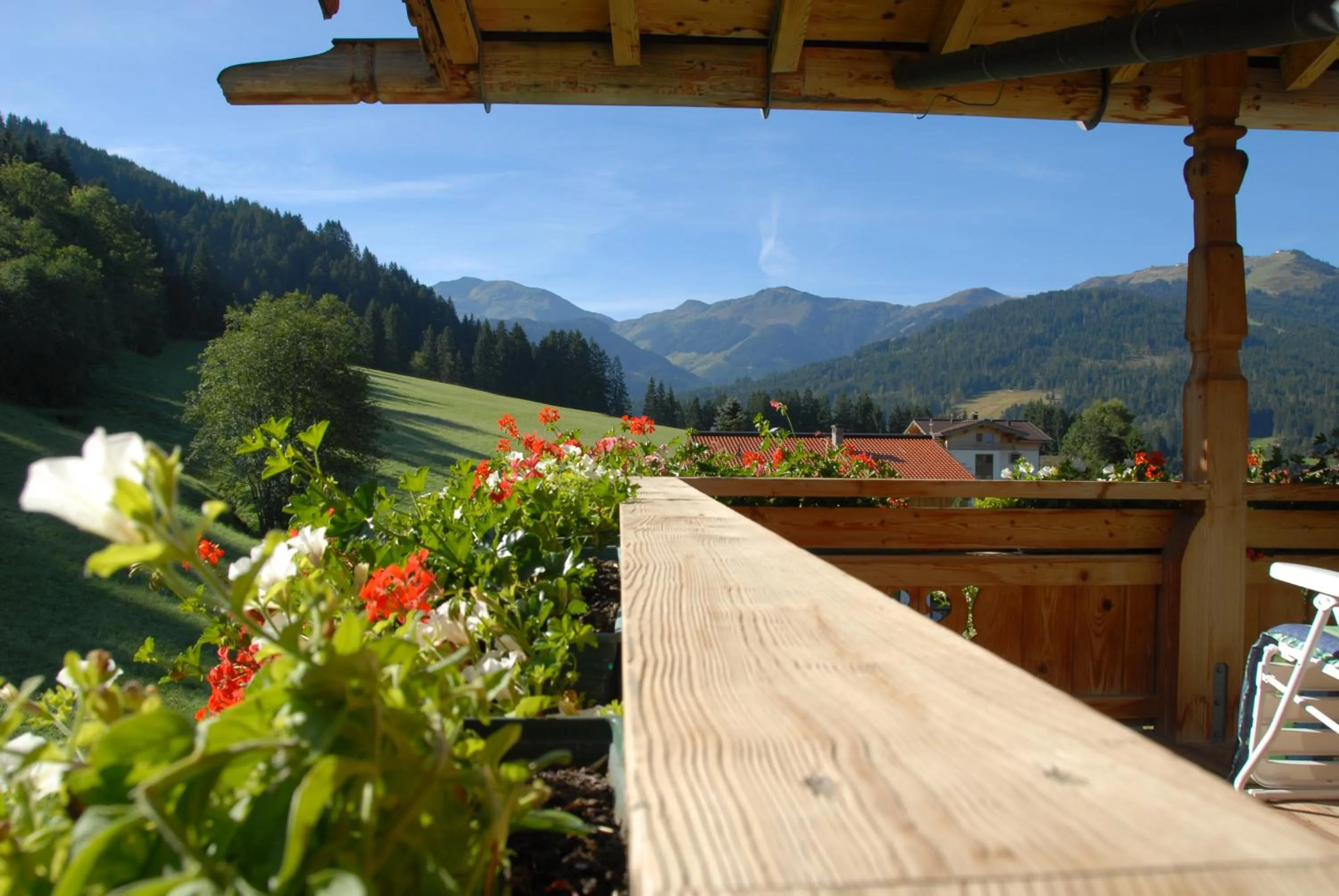 Balcony/Terrace in Hotel Landhaus Marchfeld
