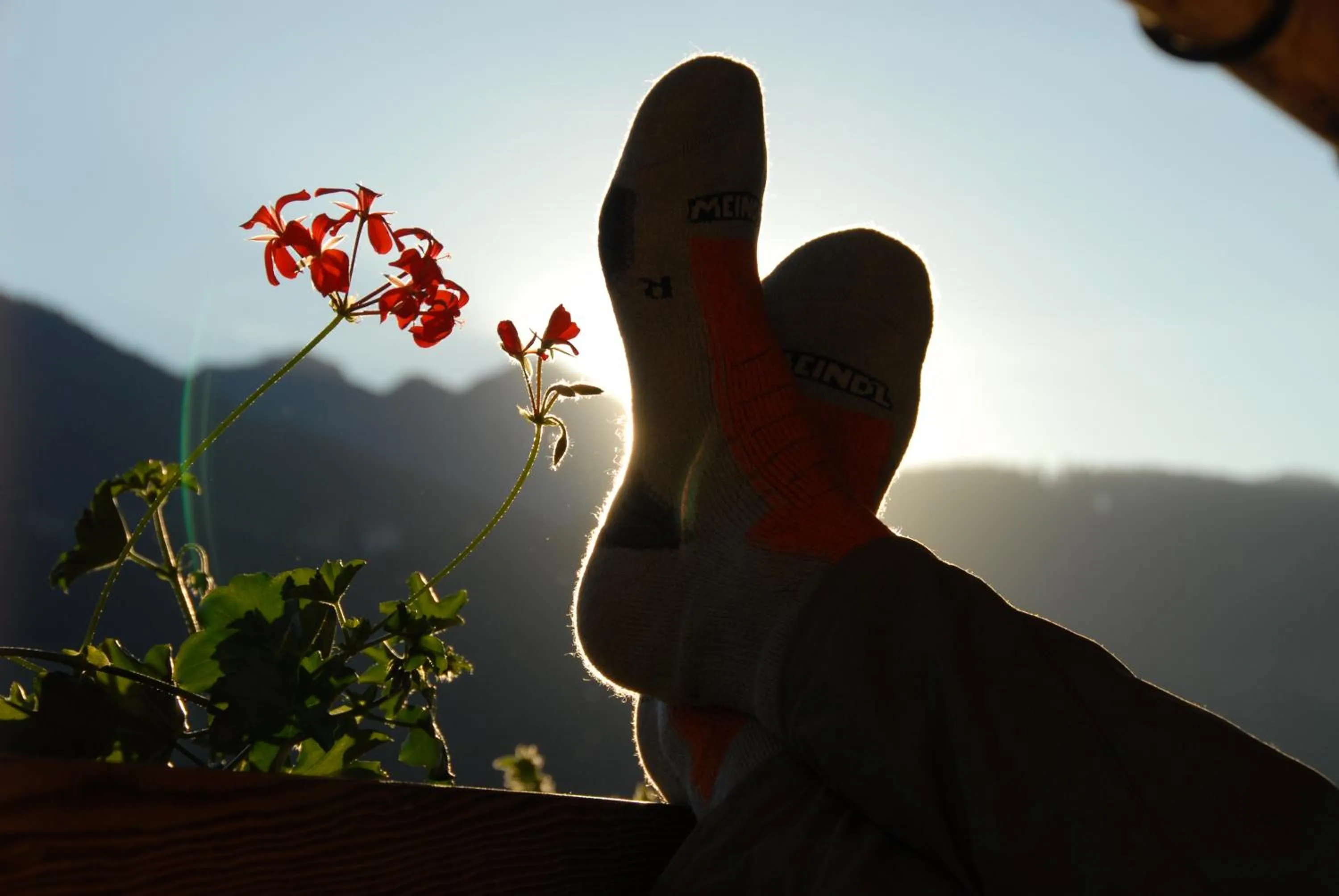 Balcony/Terrace in Hotel Landhaus Marchfeld