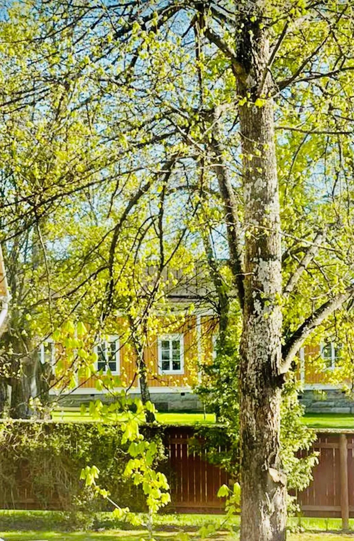 View (from property/room) in Eleonora Bed & Breakfast