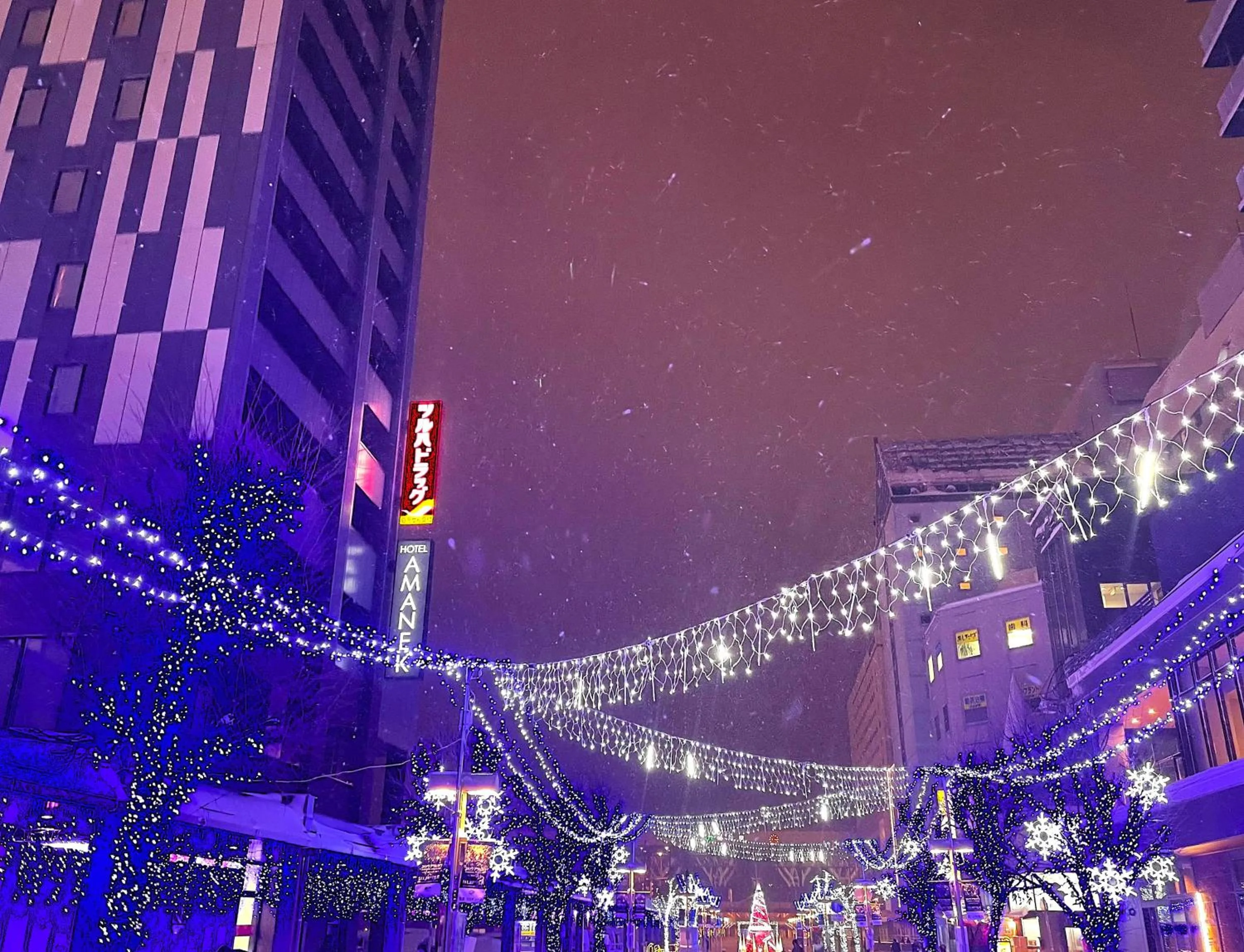 Property building in HOTEL AMANEK Asahikawa