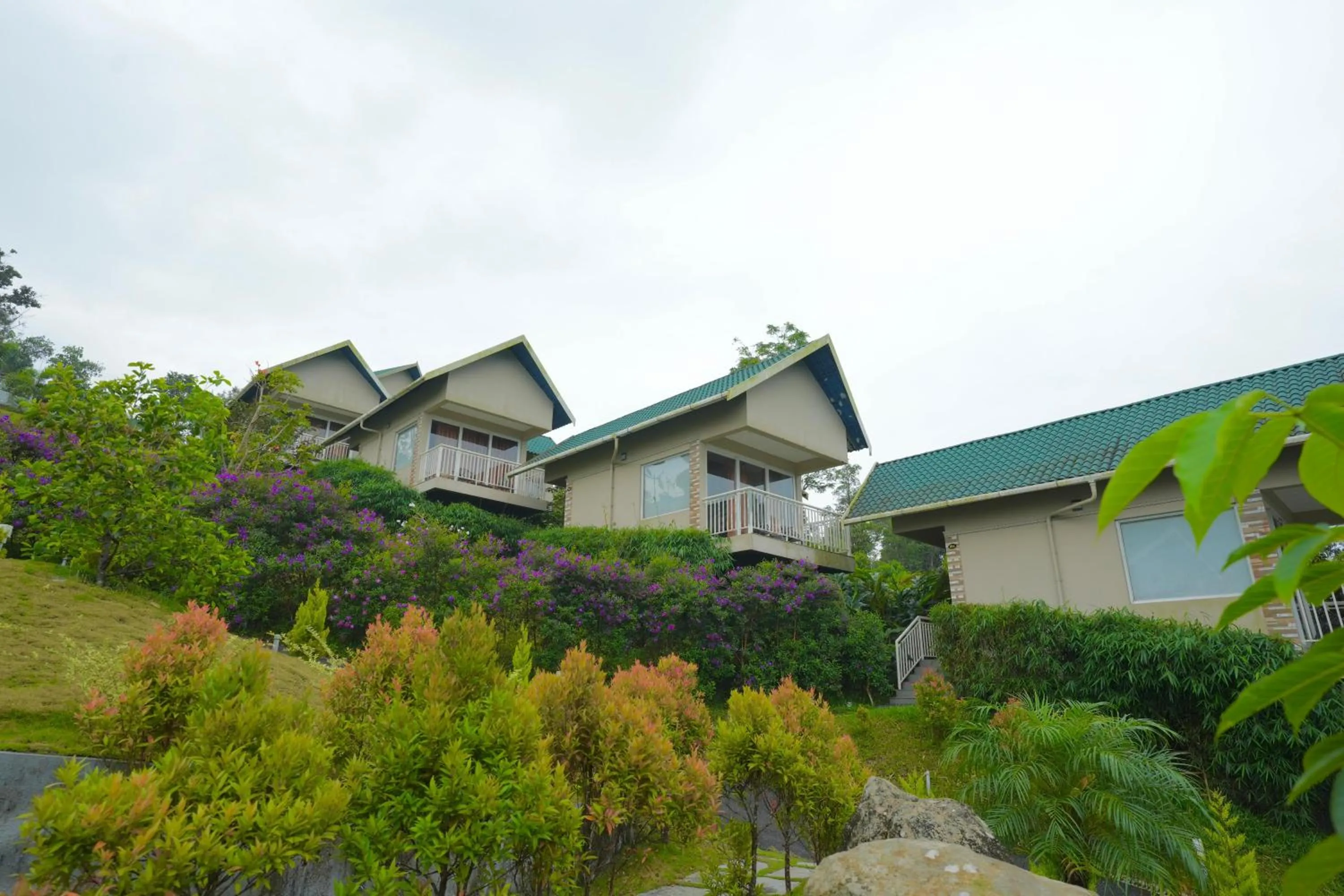 Garden view in Aveda Munnar Mountains and Mist