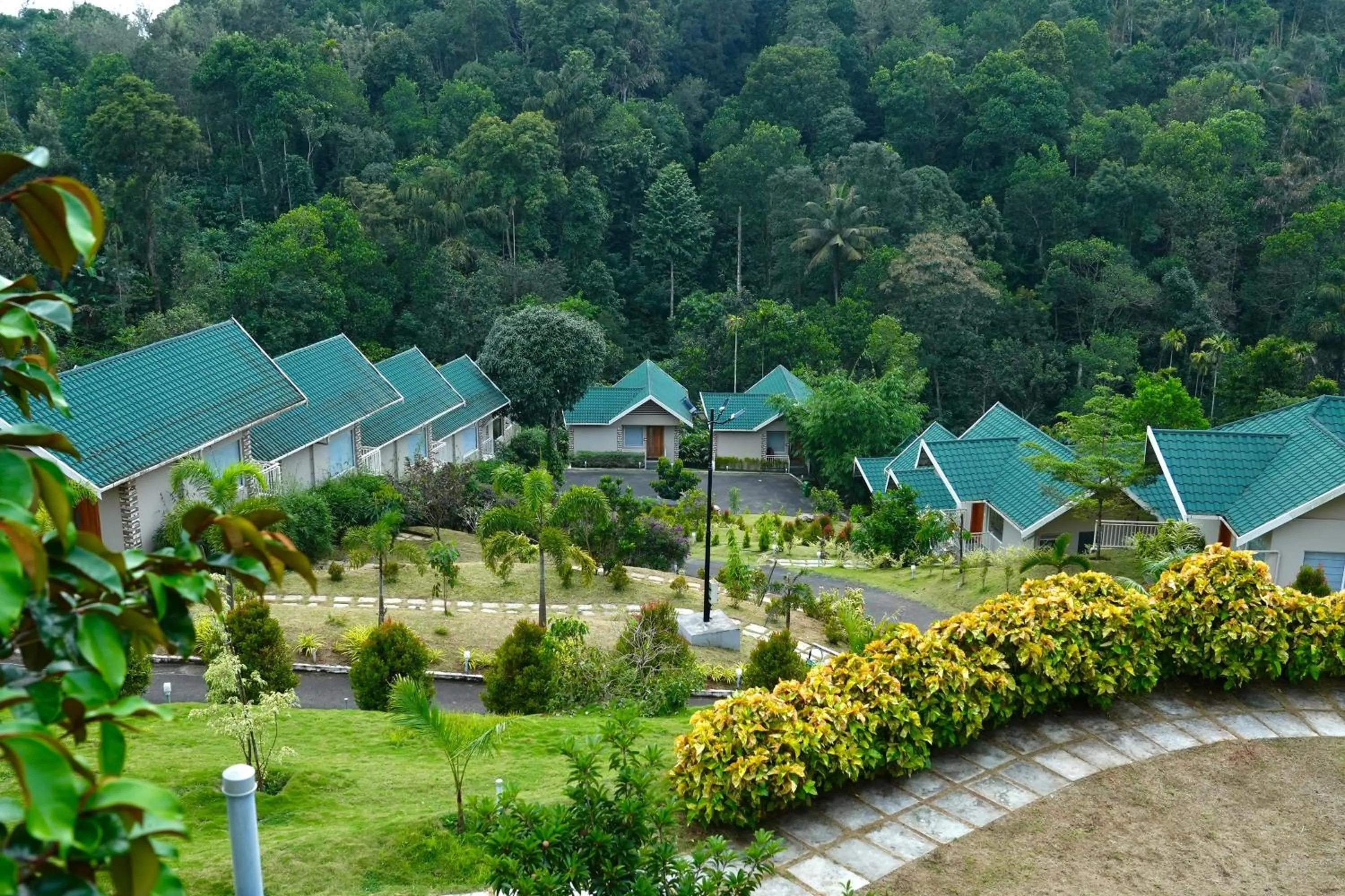 Natural landscape in Aveda Munnar Mountains and Mist