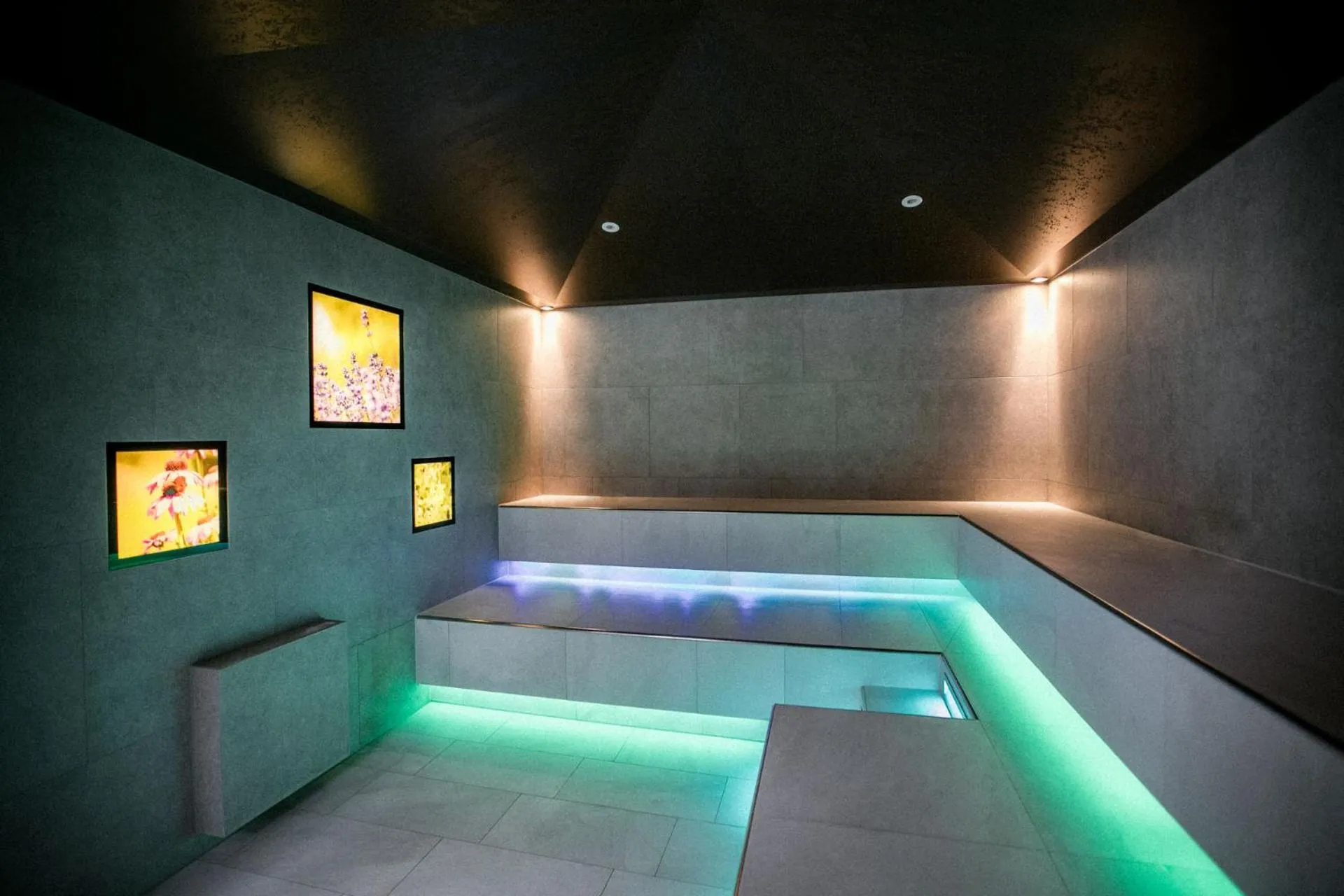 Sauna in Heilthermen Resort Bad Waltersdorf