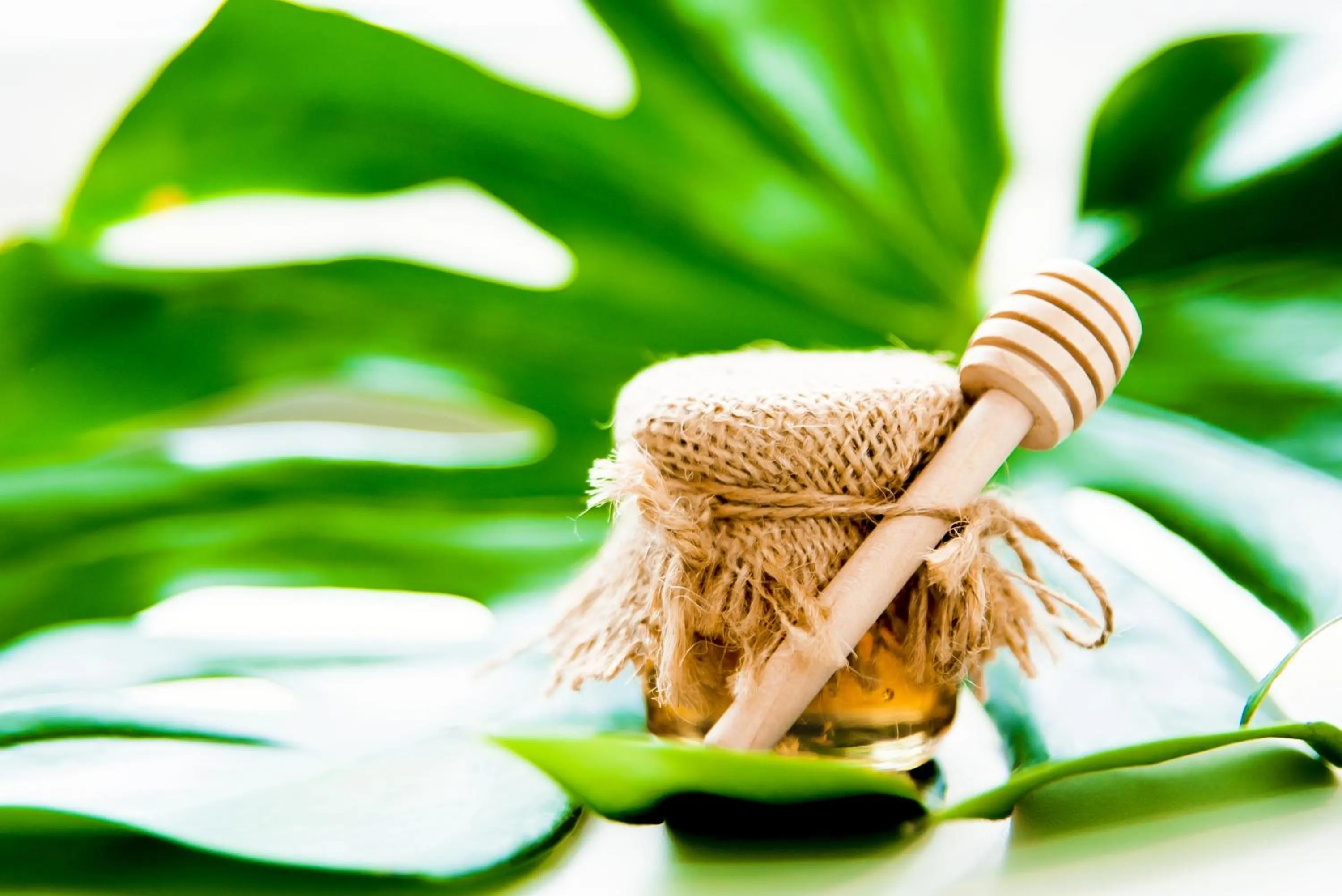 Food and drinks in Hotel 107