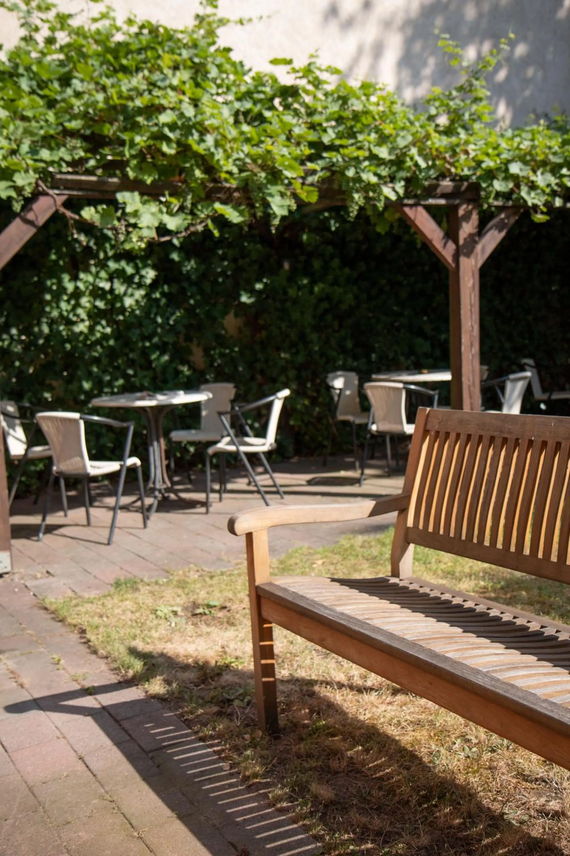 Patio in Hotel Adagio