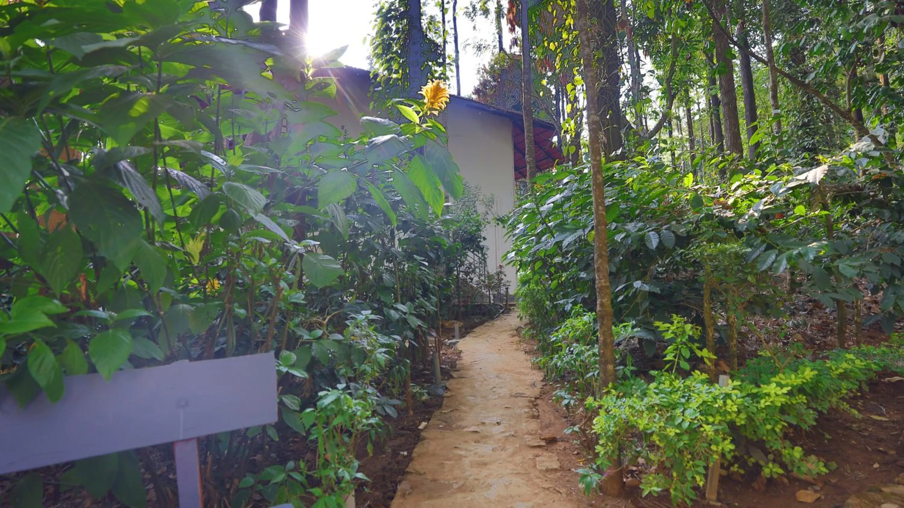 Garden in The Spectrum Resort - Chikmagalur