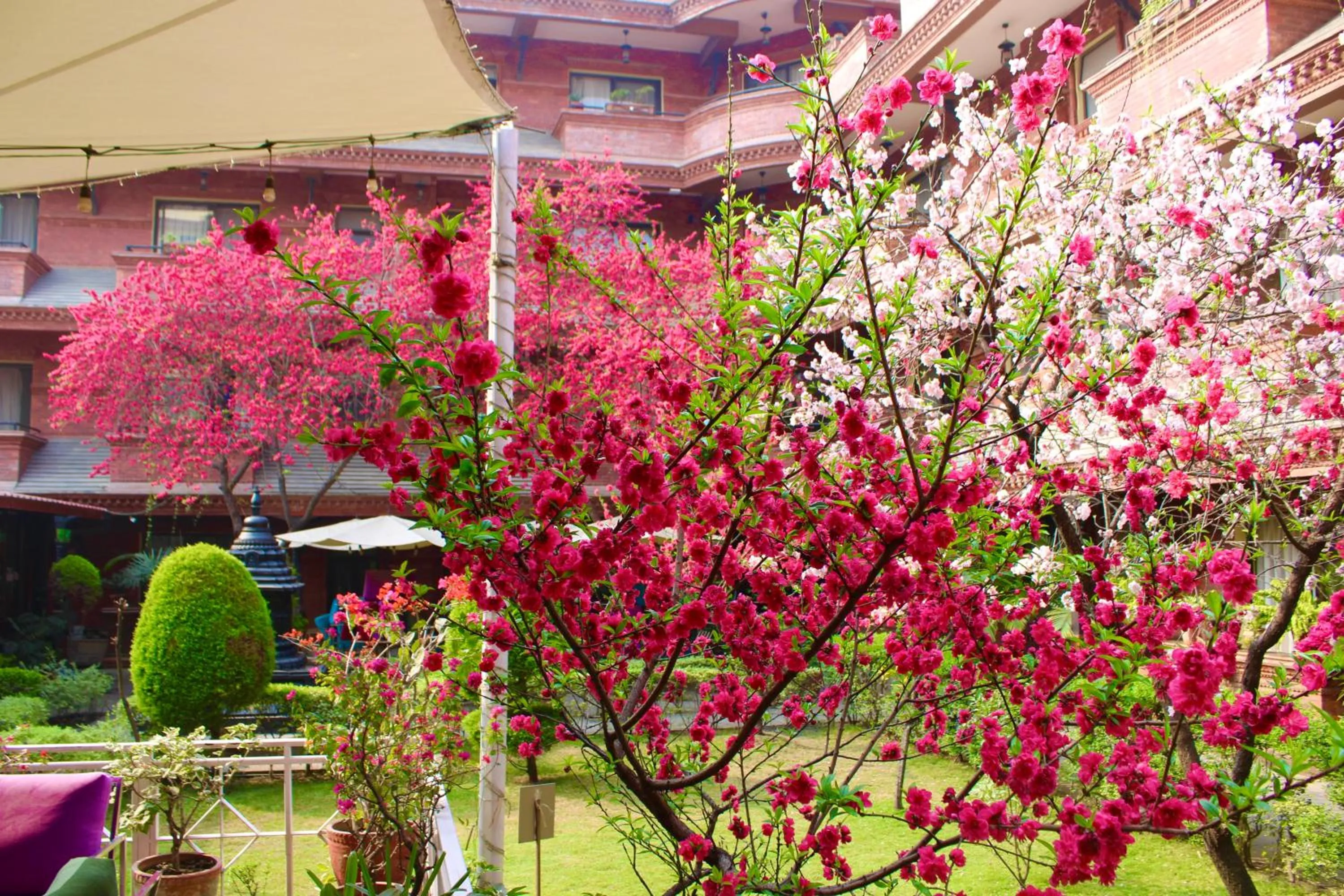 Garden in Hotel Siddhi Manakamana