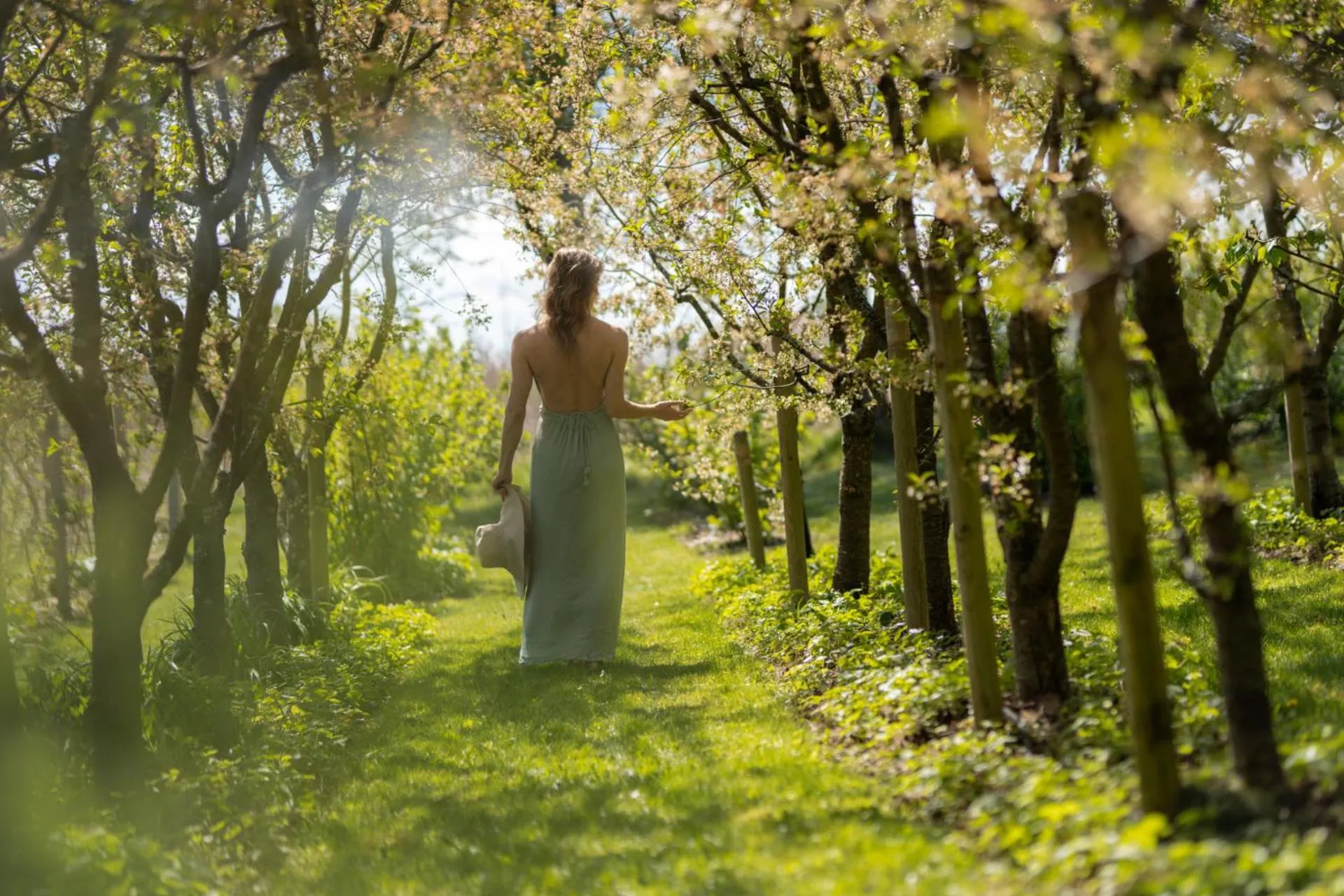 Garden in Hotel Sturm Bio- & Wellnesshotel in der Rhön