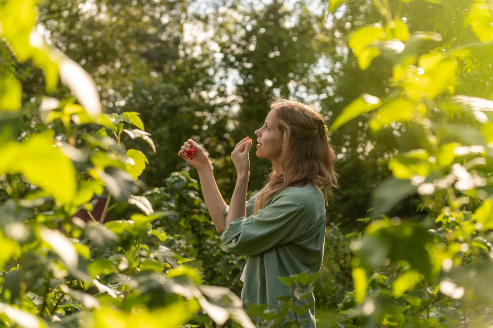 Garden in Hotel Sturm Bio- & Wellnesshotel in der Rhön