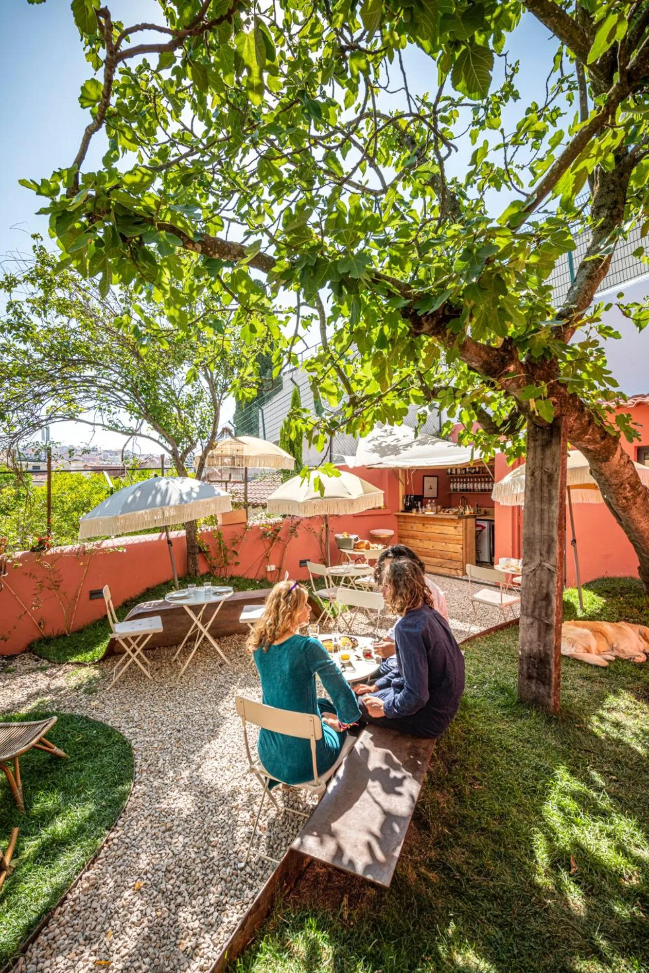 Garden in toctoctoc lisboa