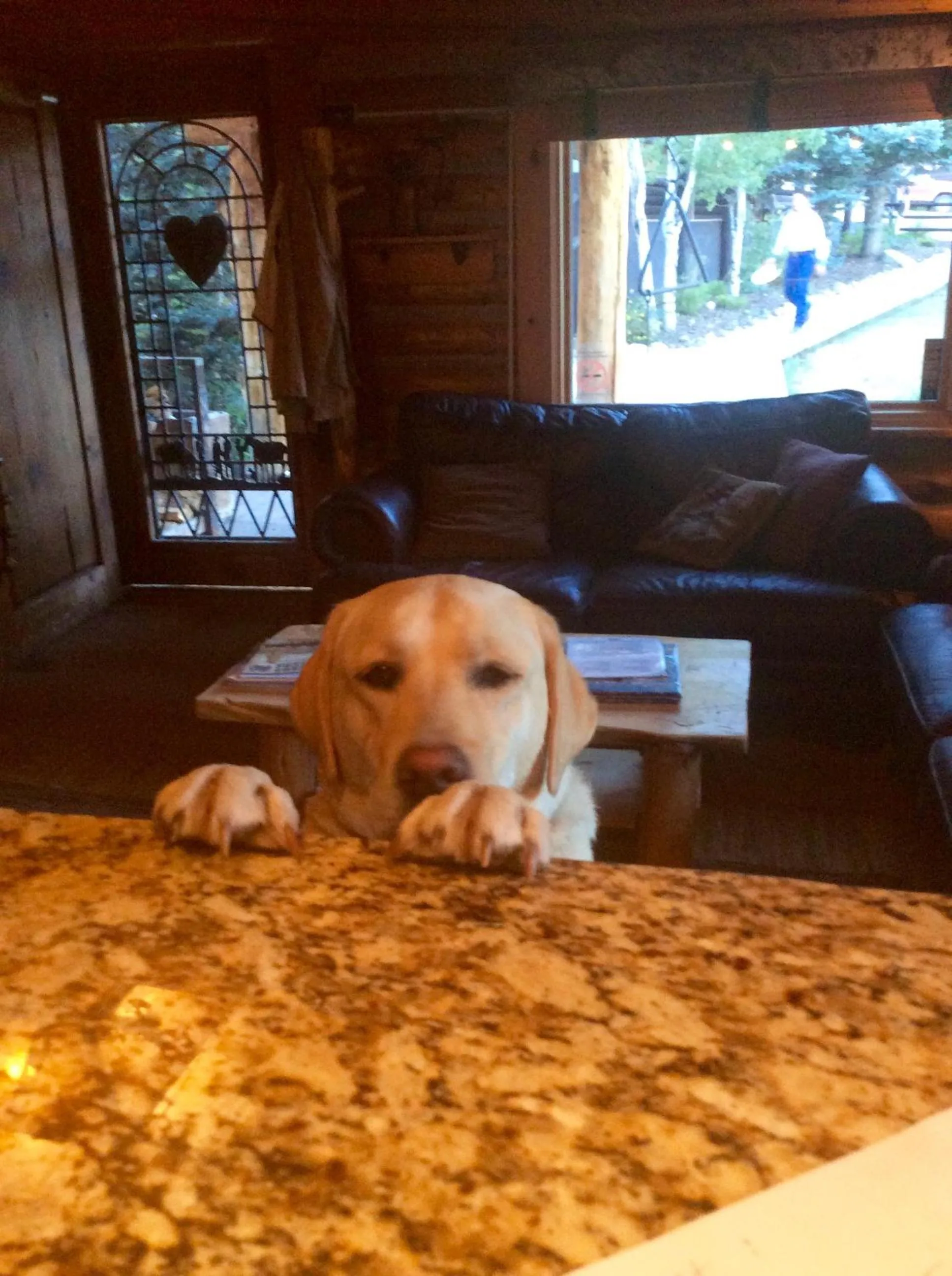 Pets in Heart Six Ranch