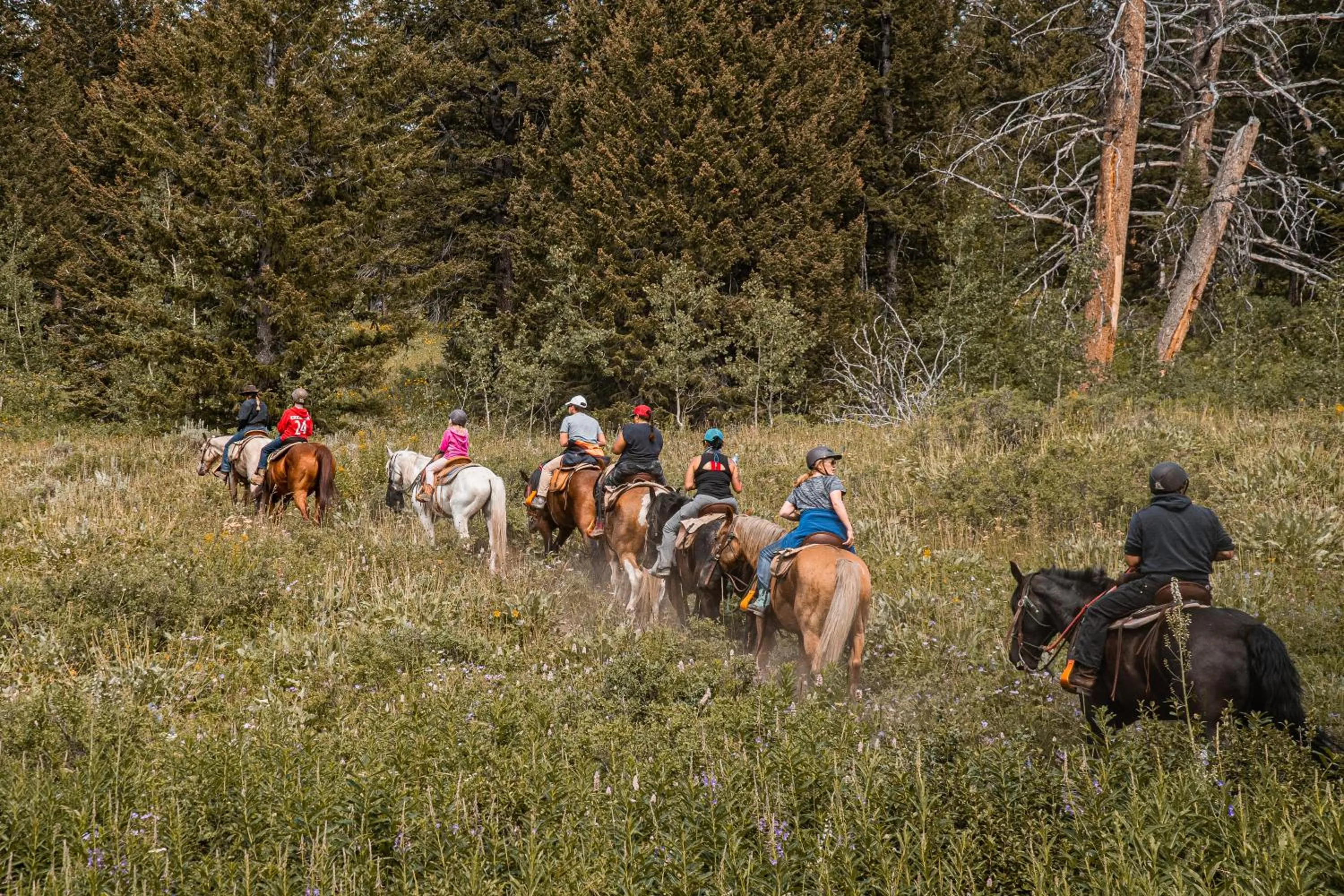 Horse-riding in Heart Six Ranch