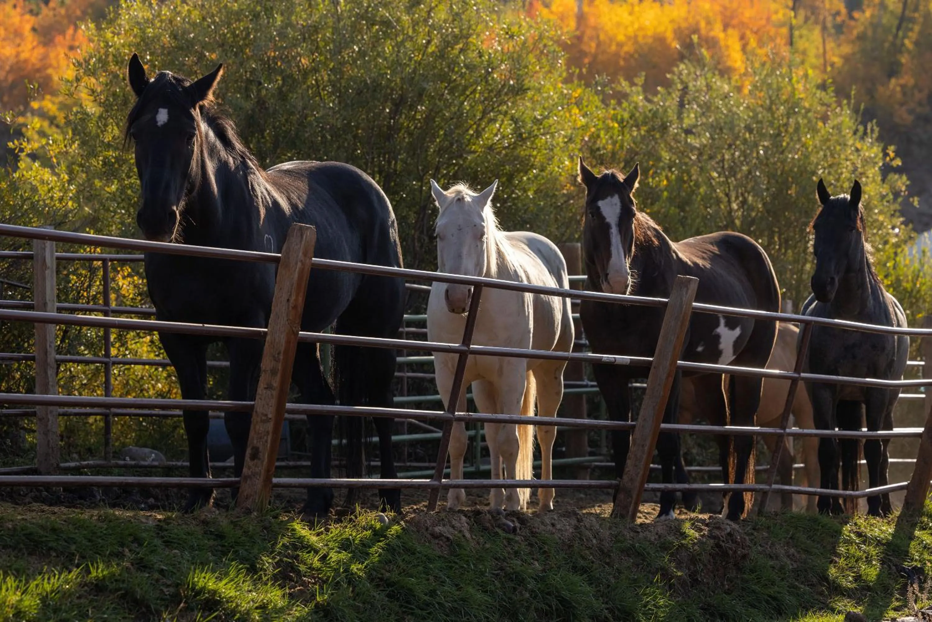 Day in Heart Six Ranch