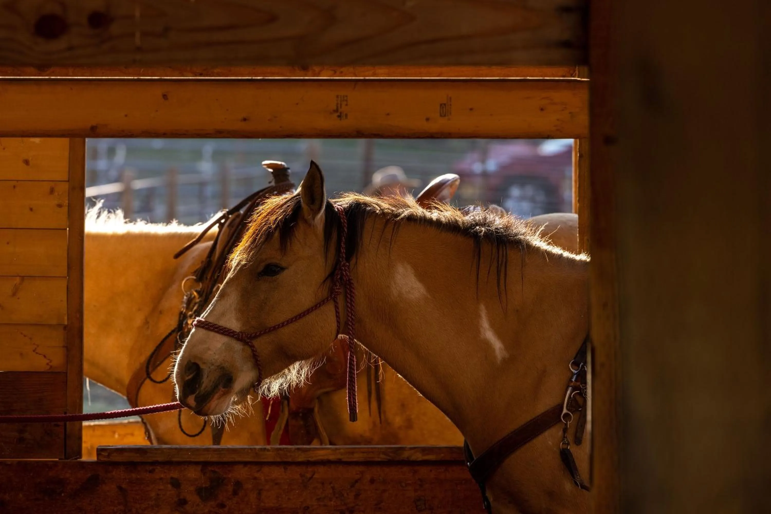 People in Heart Six Ranch