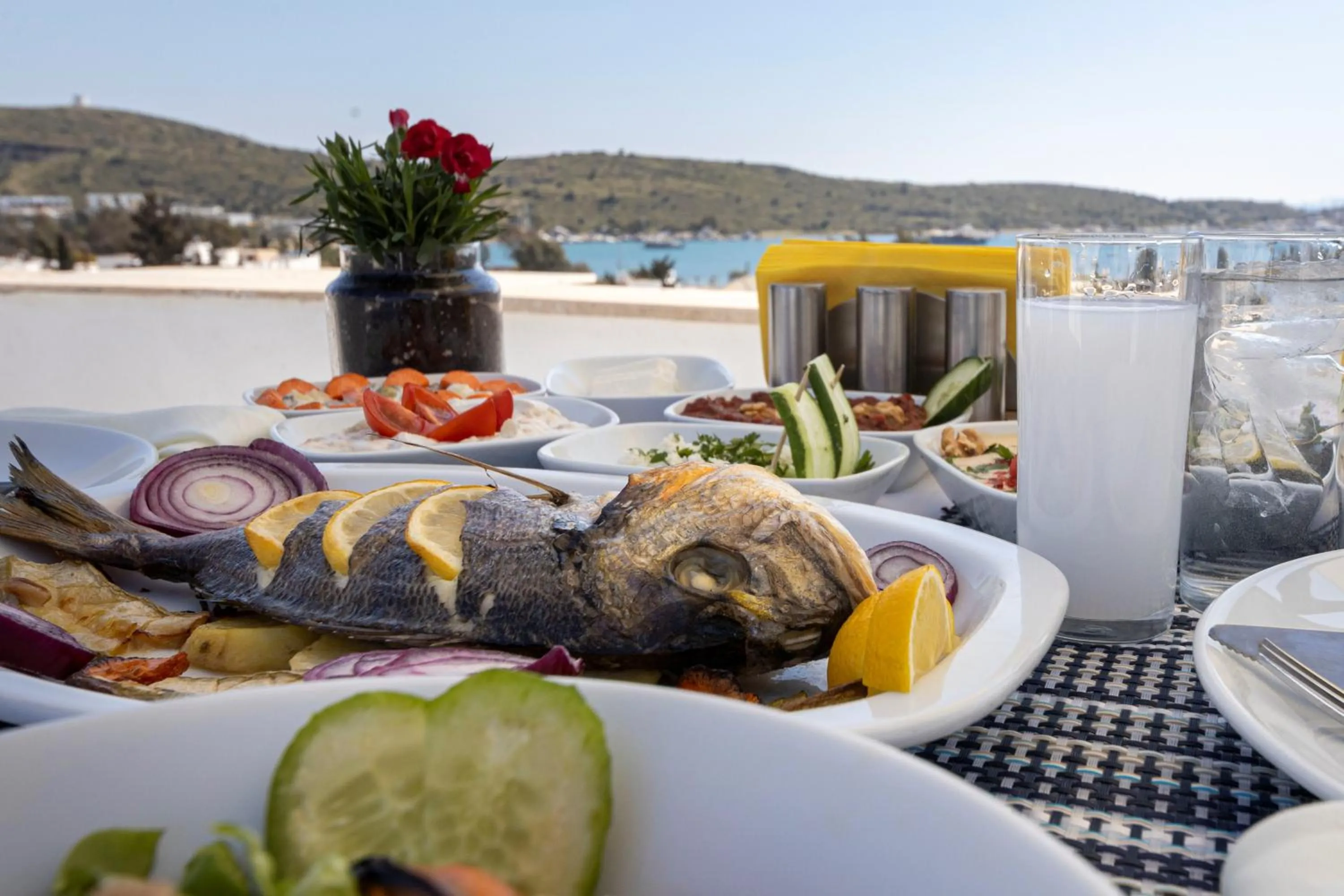Restaurant/places to eat in Hola Bodrum