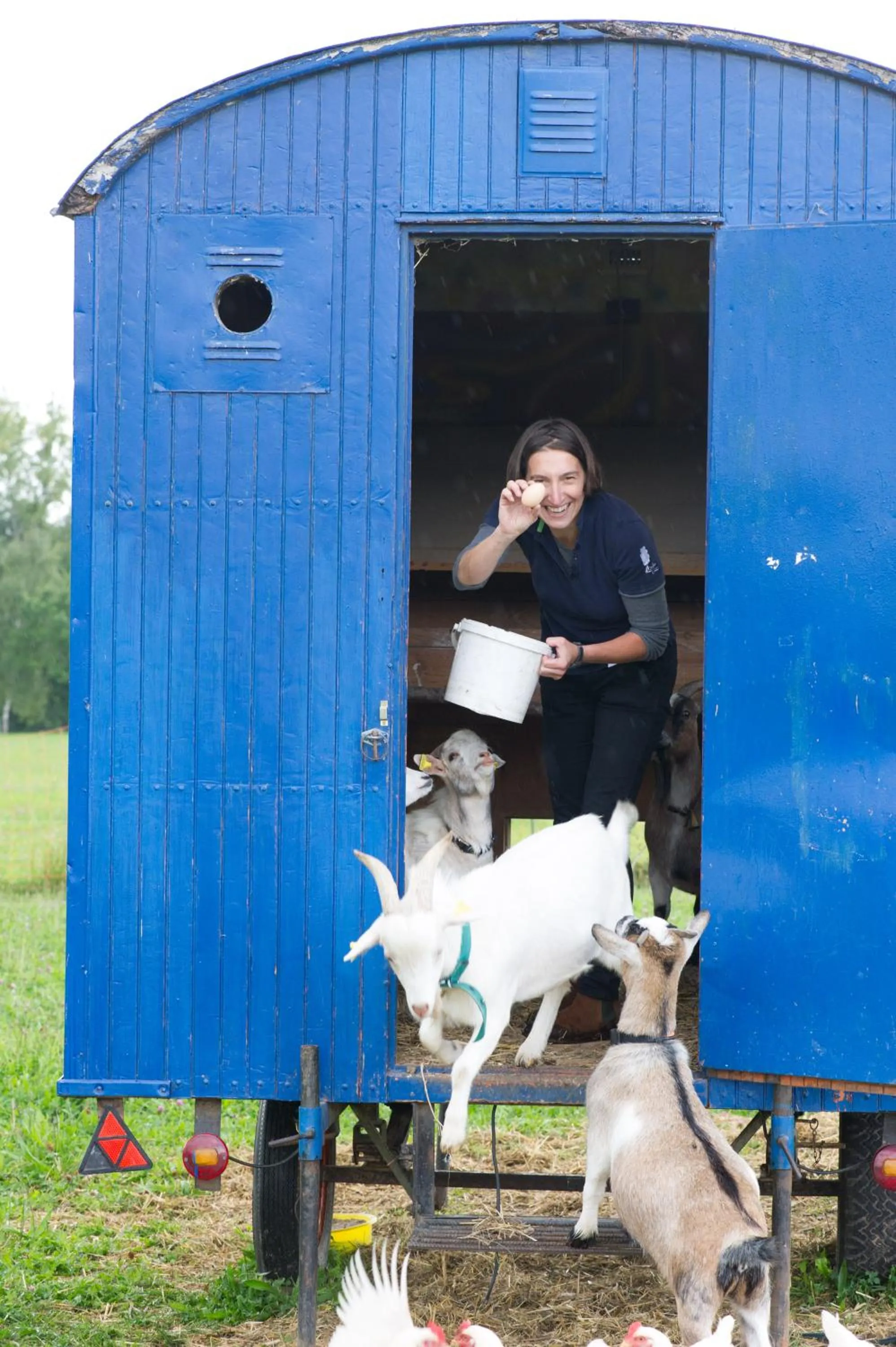 Animals in LindenGut Bio Hotel & Bio Herberge