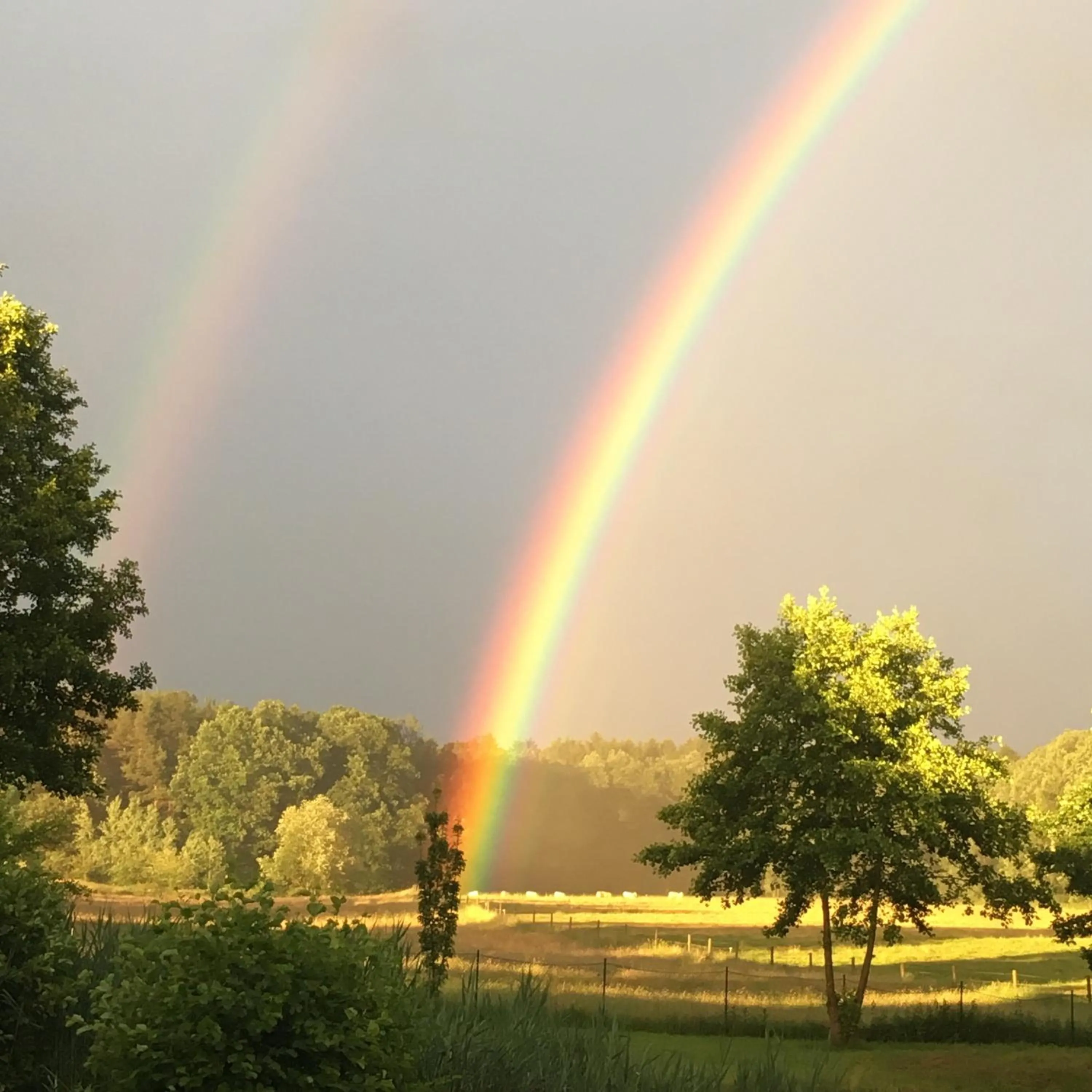 Natural landscape in LindenGut Bio Hotel & Bio Herberge