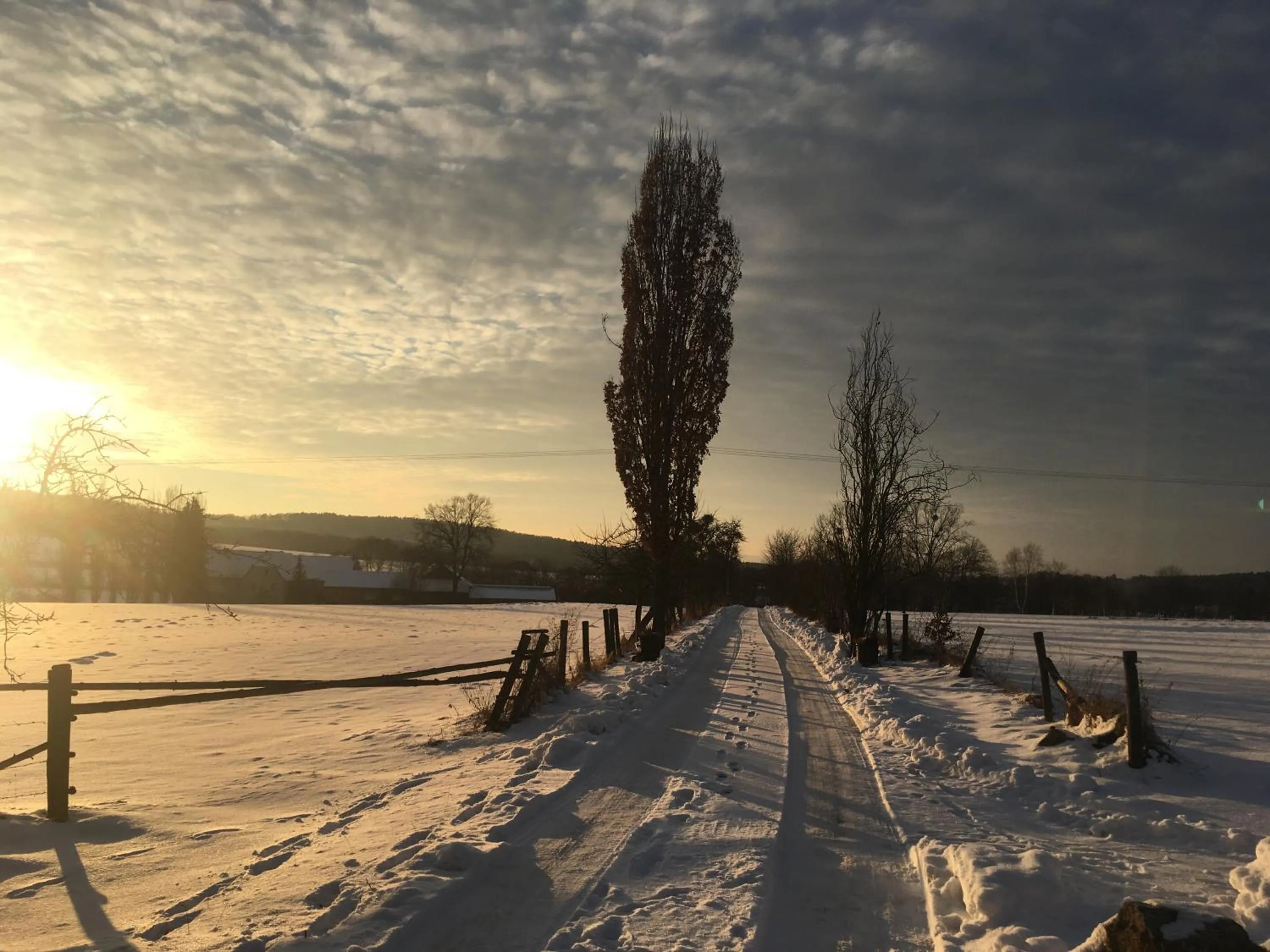 Natural landscape in LindenGut Bio Hotel & Bio Herberge