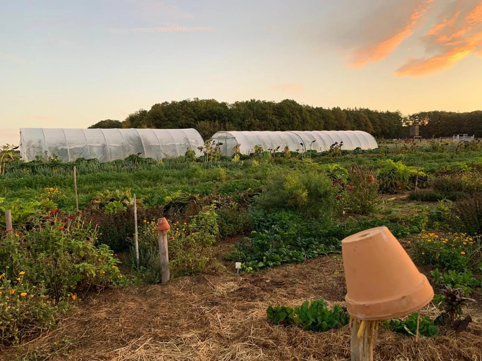 View (from property/room) in LindenGut Bio Hotel & Bio Herberge